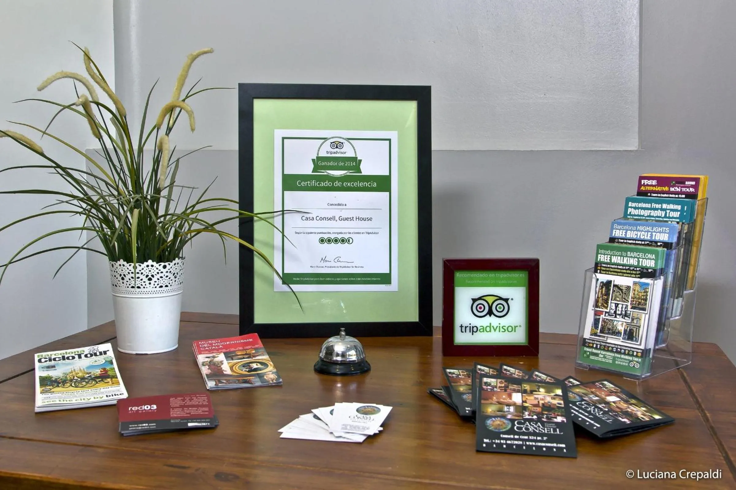 Decorative detail in Casa Consell Apartments