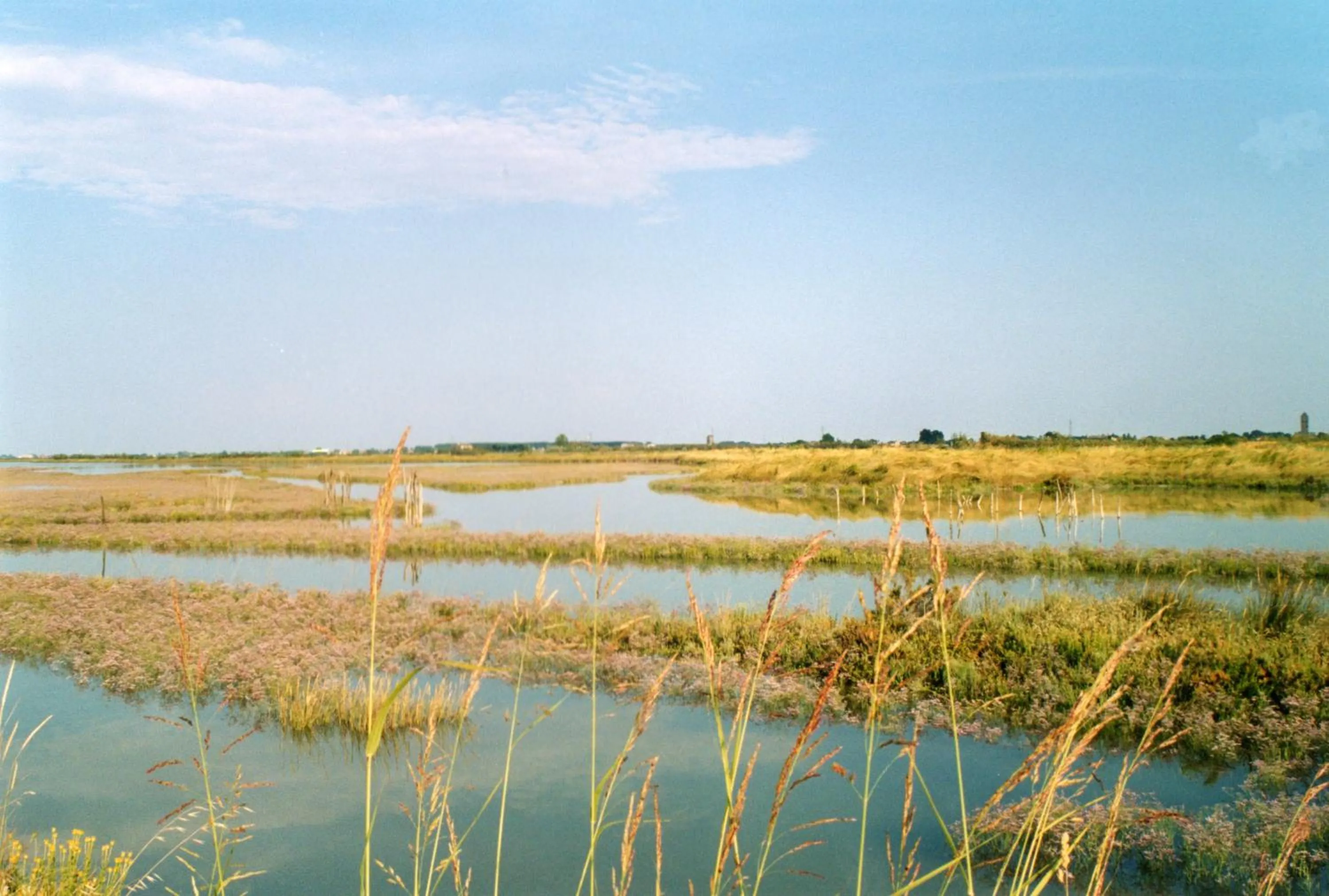 Area and facilities in B&B Garnì Da Vito