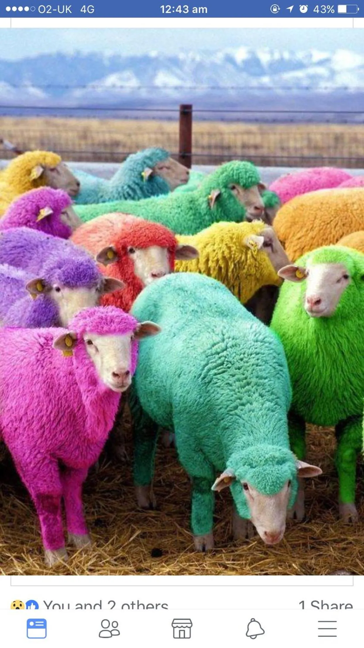 Highfield Guesthouse