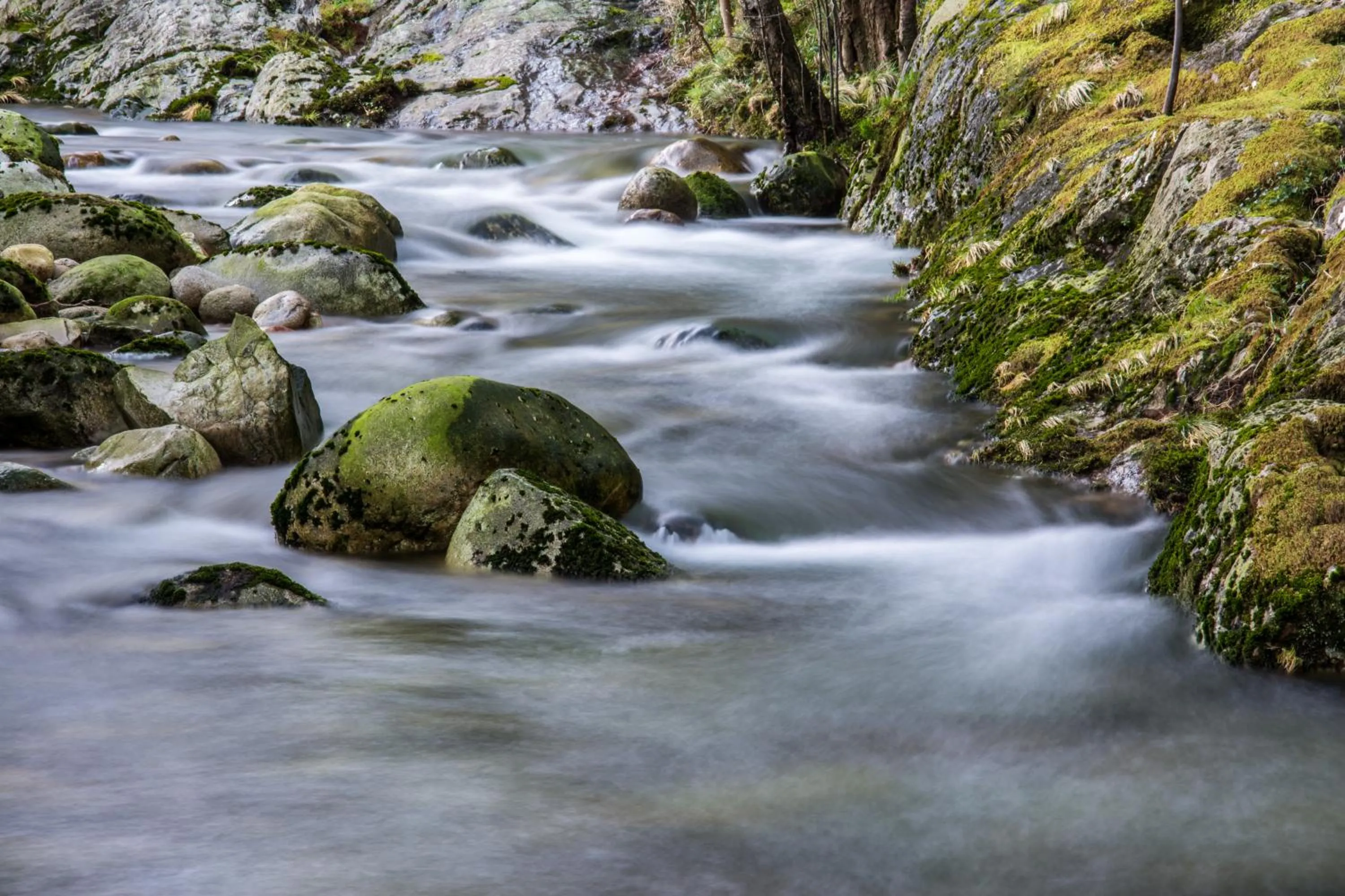 Area and facilities in Entre Os Ríos - Casa Rural y Enoturismo