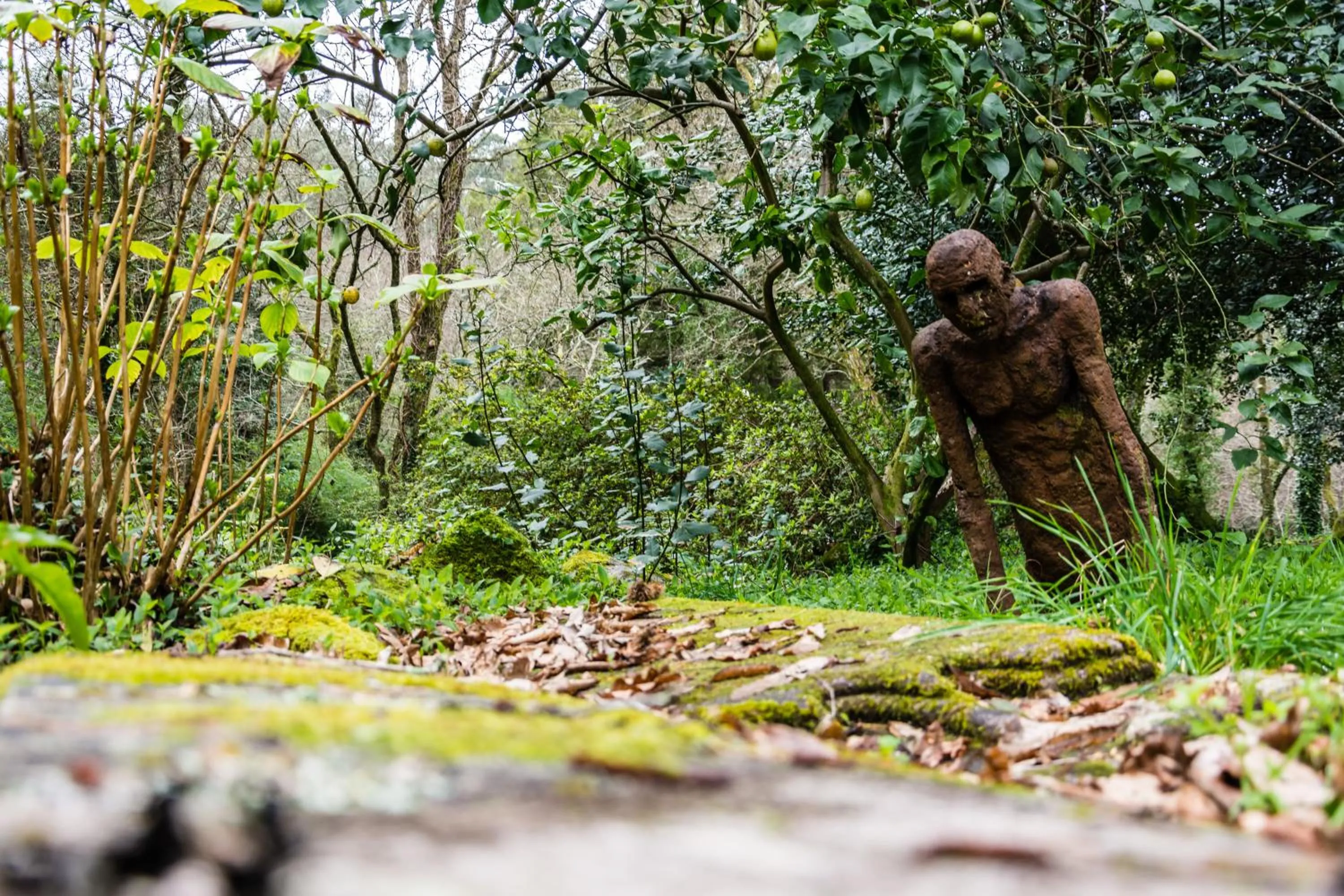 Area and facilities in Entre Os Ríos - Casa Rural y Enoturismo