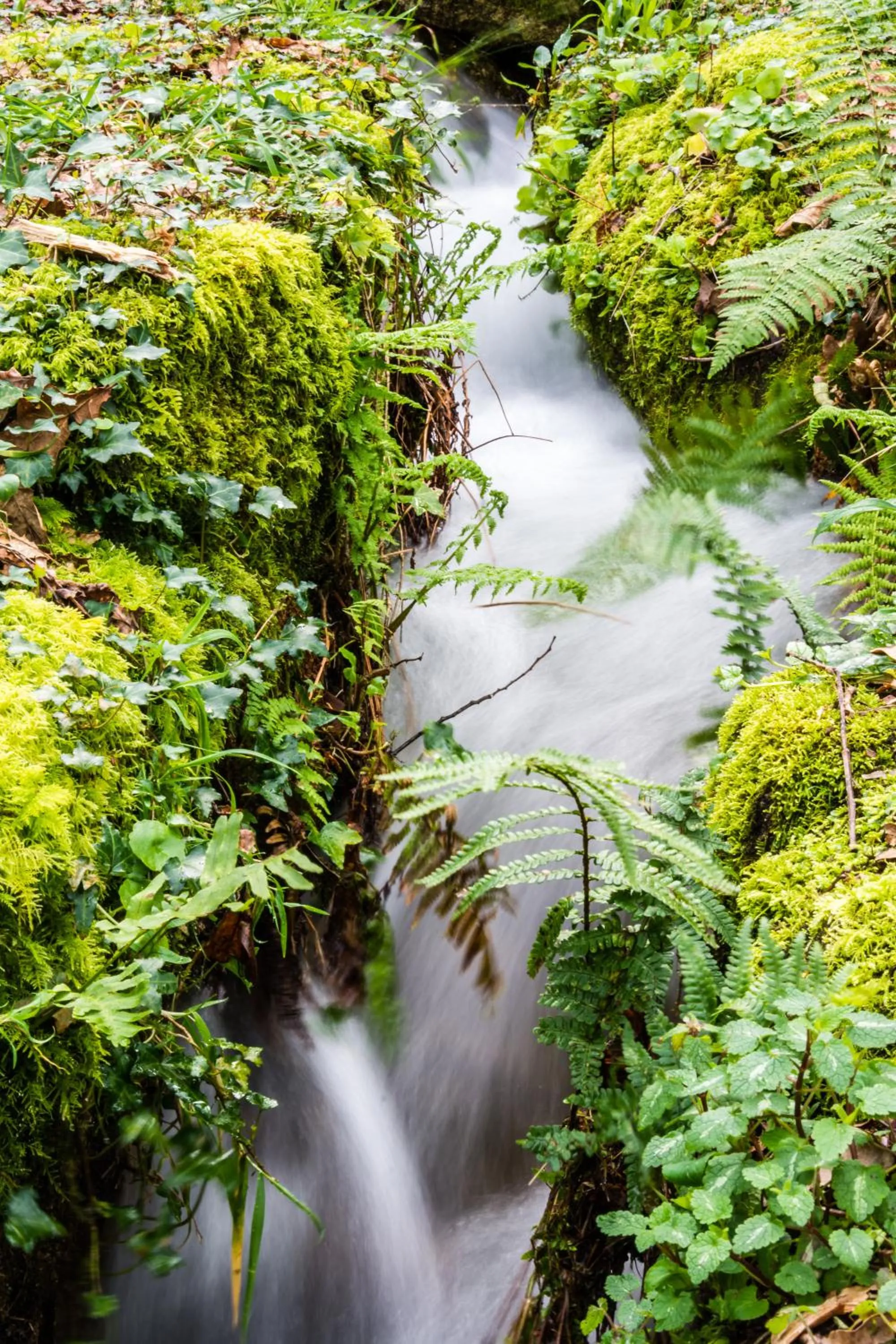Area and facilities in Entre Os Ríos - Casa Rural y Enoturismo
