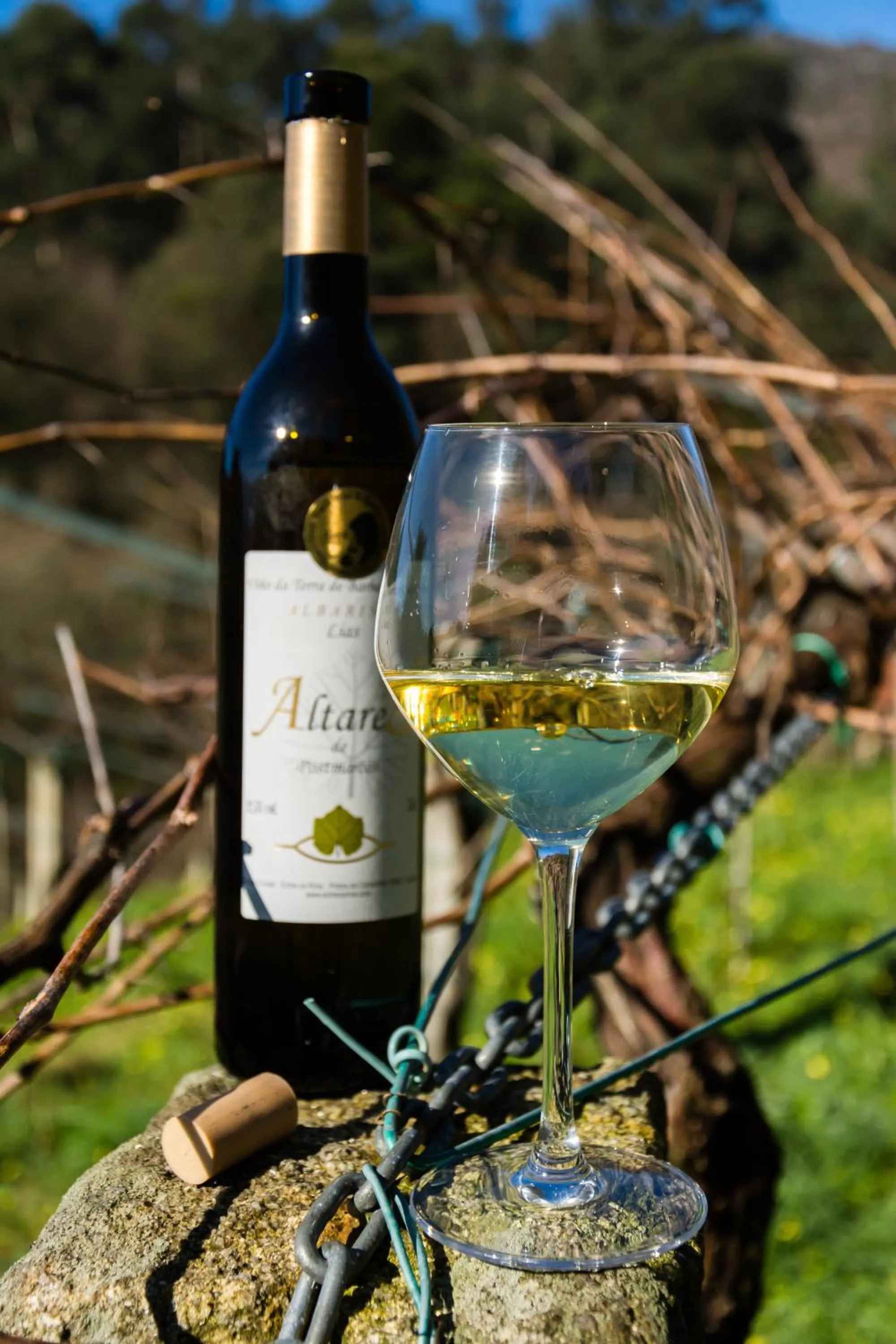 Food and drinks in Entre Os Ríos - Casa Rural y Enoturismo