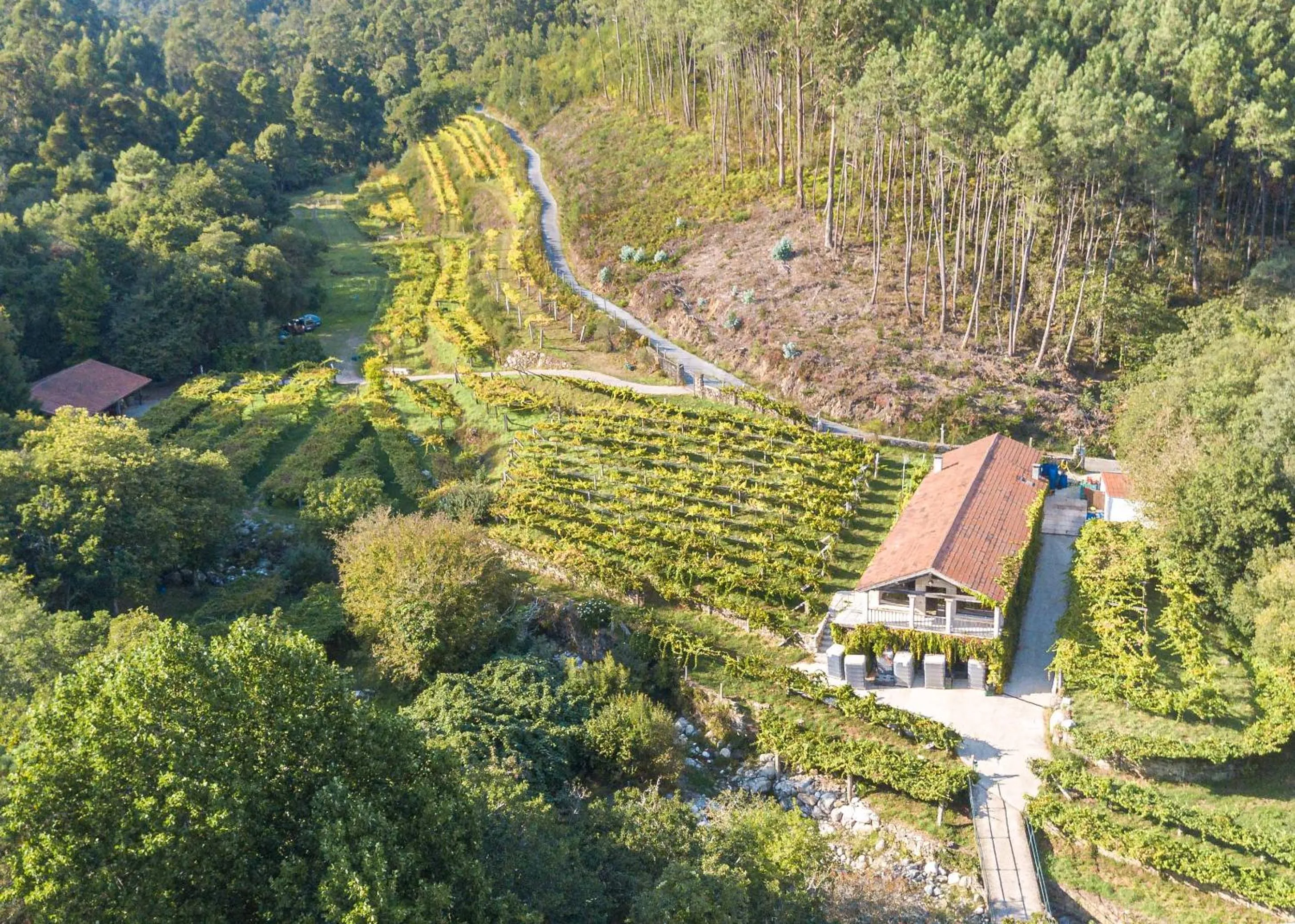 Bird's eye view in Entre Os Ríos - Casa Rural y Enoturismo