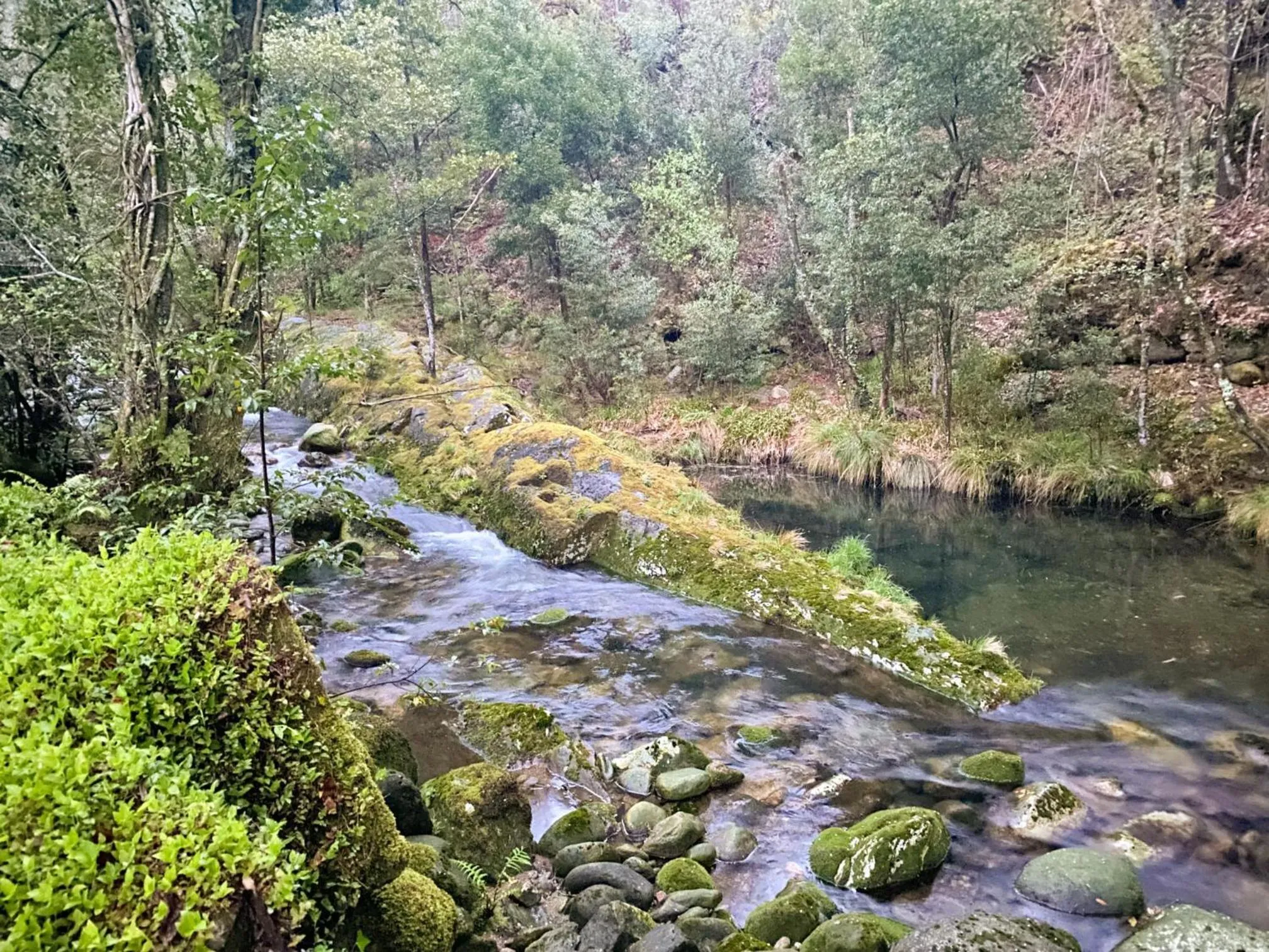Lake view in Entre Os Ríos - Casa Rural y Enoturismo