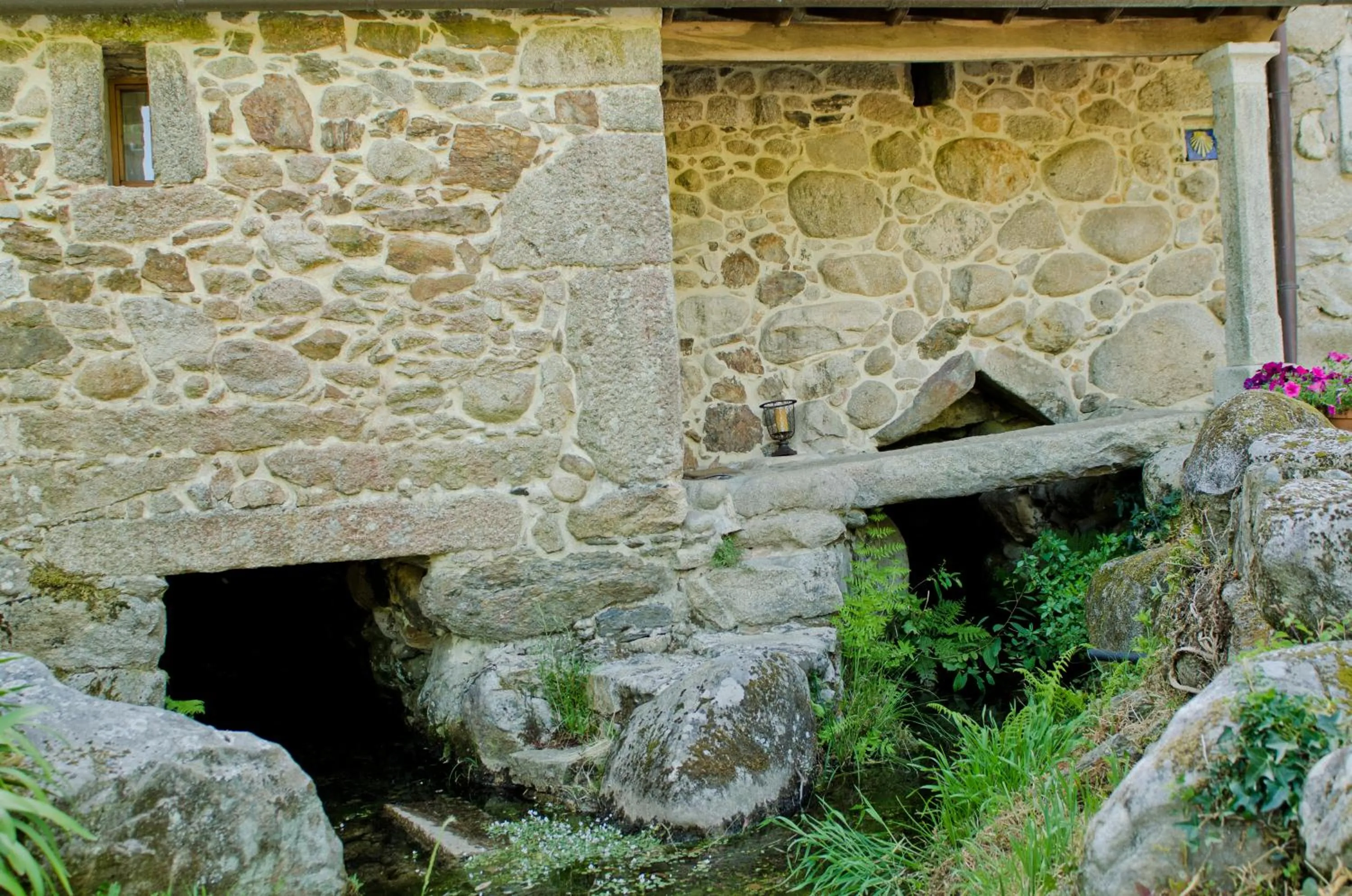 Facade/entrance in Entre Os Ríos - Casa Rural y Enoturismo