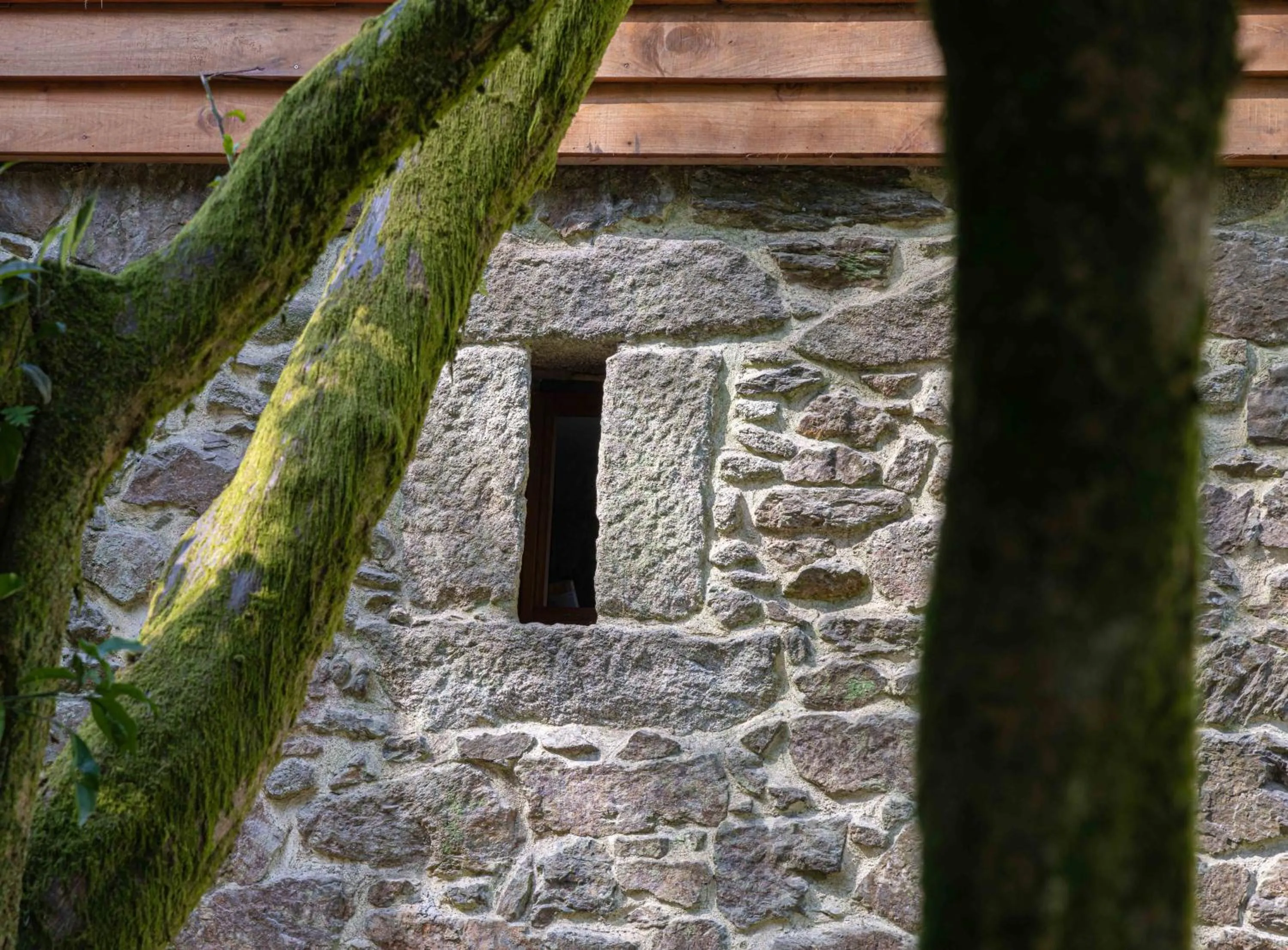 Decorative detail in Entre Os Ríos - Casa Rural y Enoturismo