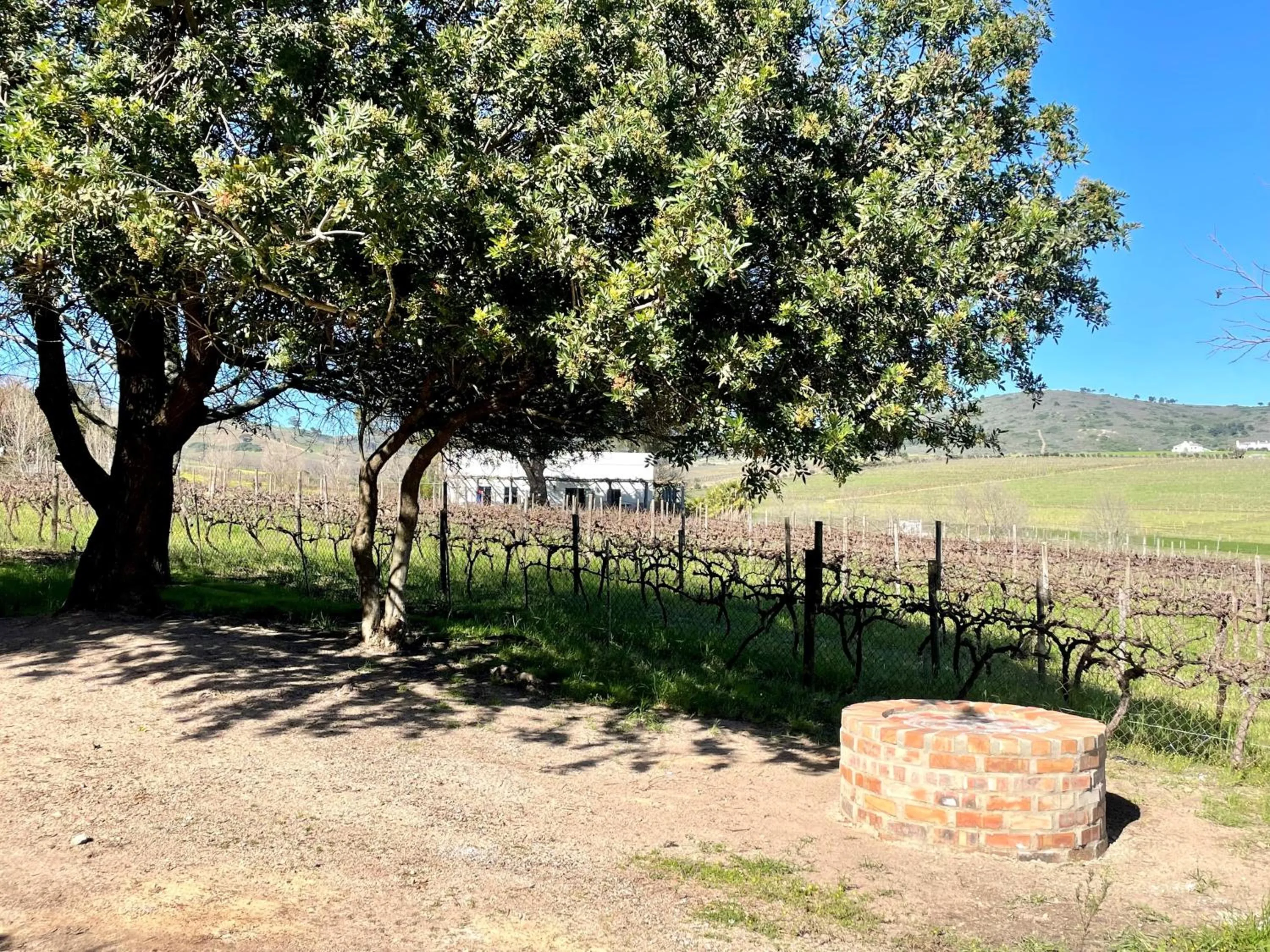 View (from property/room) in Groenvlei Guest Farm