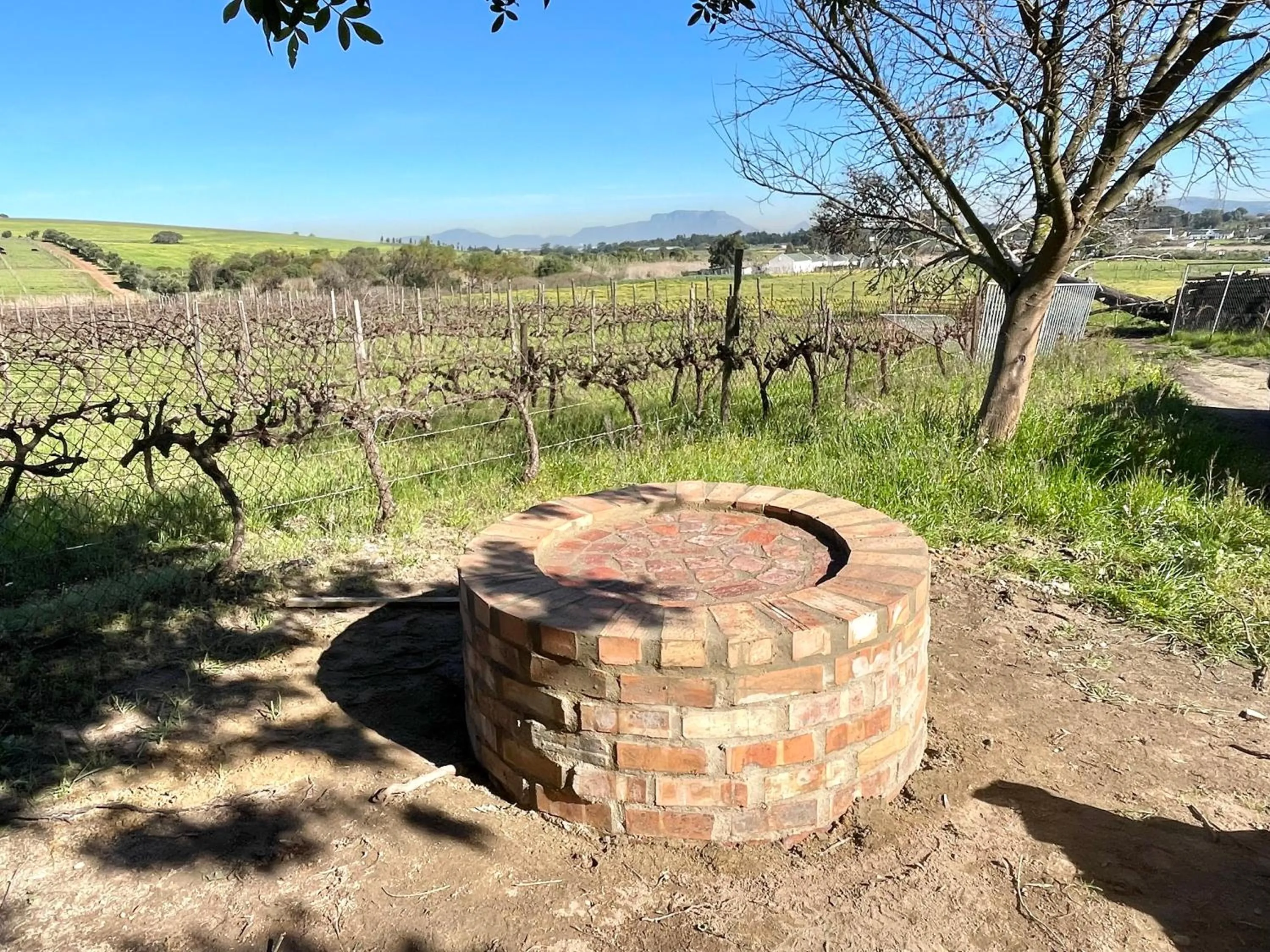View (from property/room) in Groenvlei Guest Farm