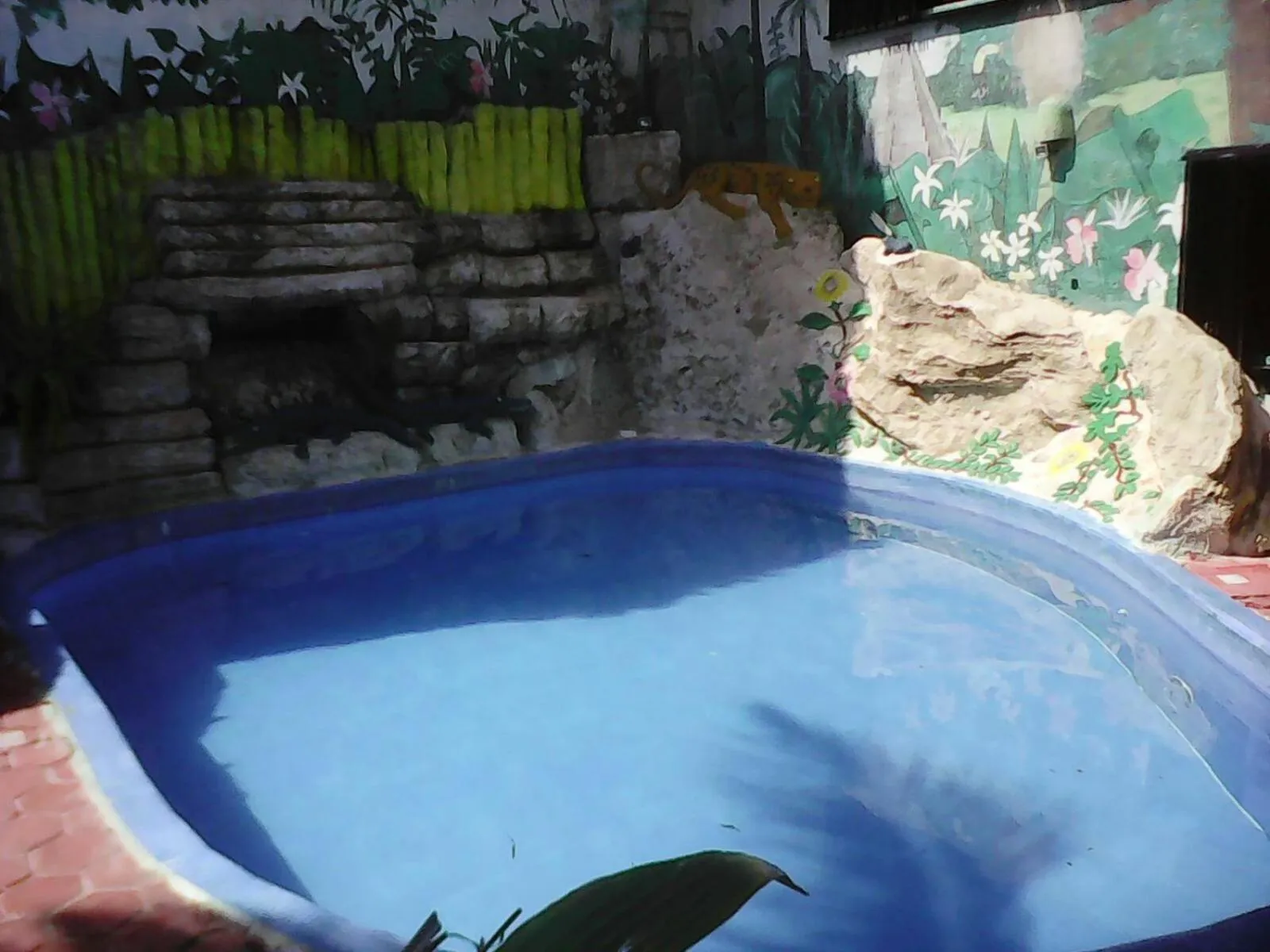 Swimming Pool in Costa del Mar