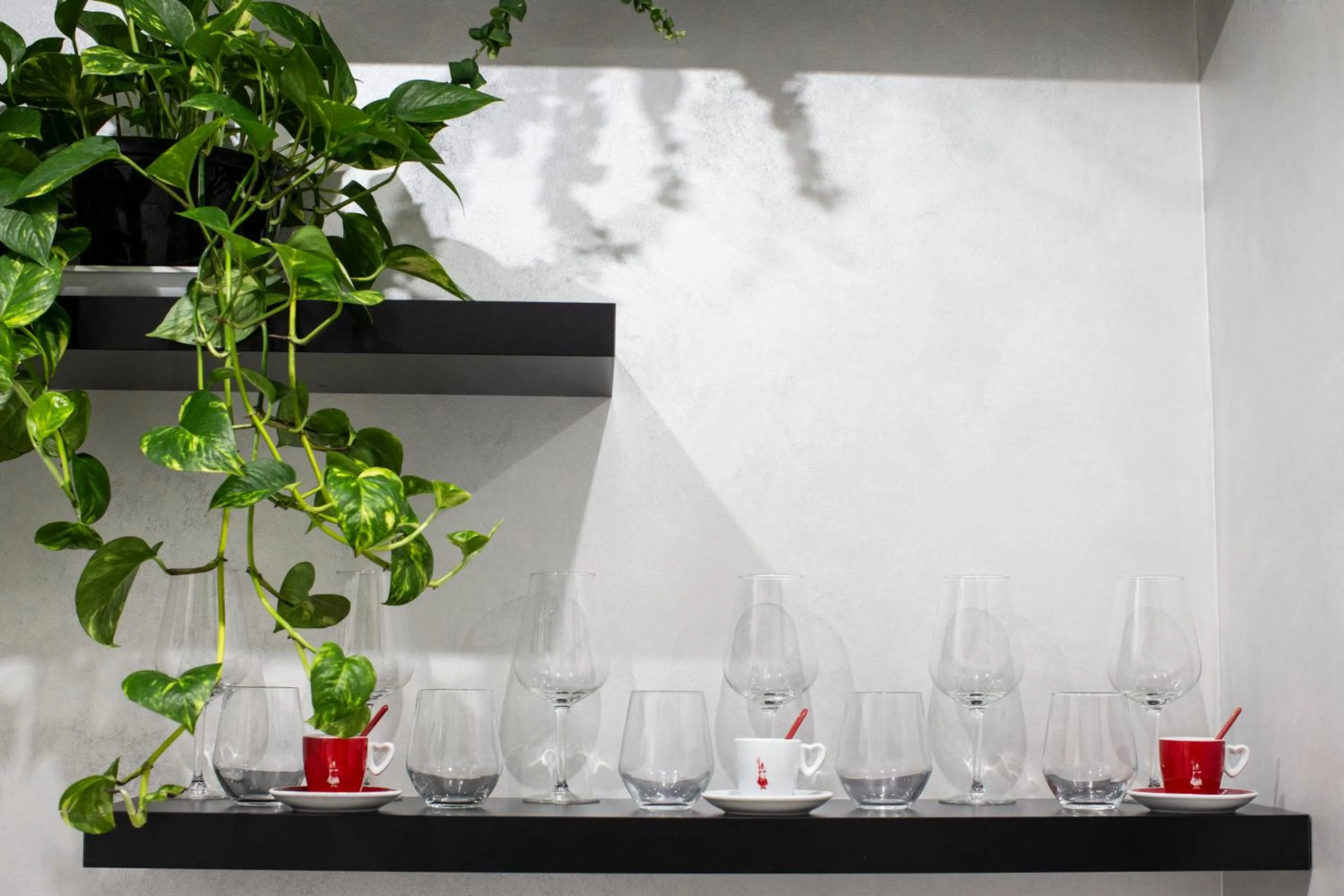 Il Magnificus Boutique