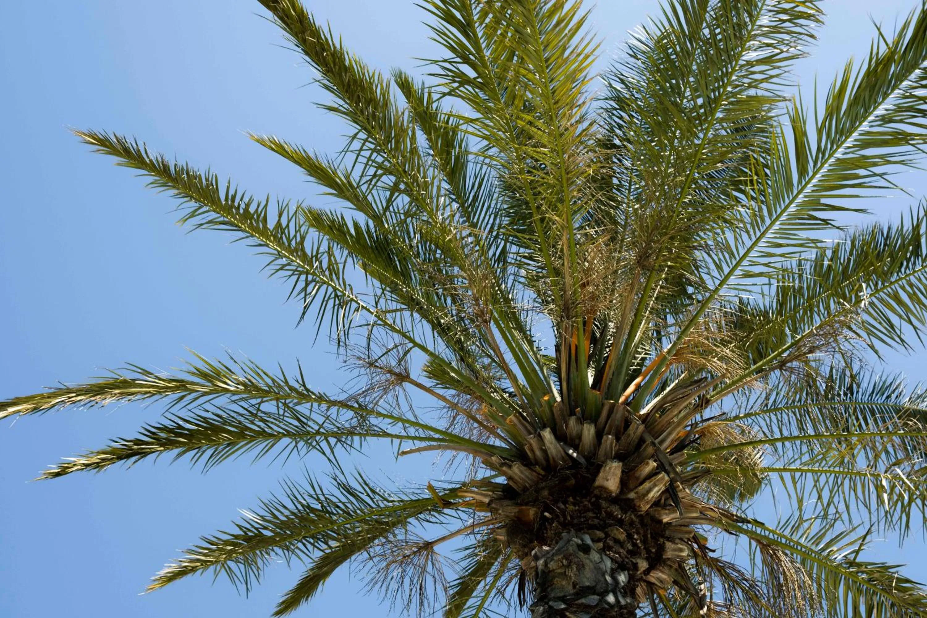 Natural landscape in X Life Hotel Sarıgerme 15 - Adult Hotel