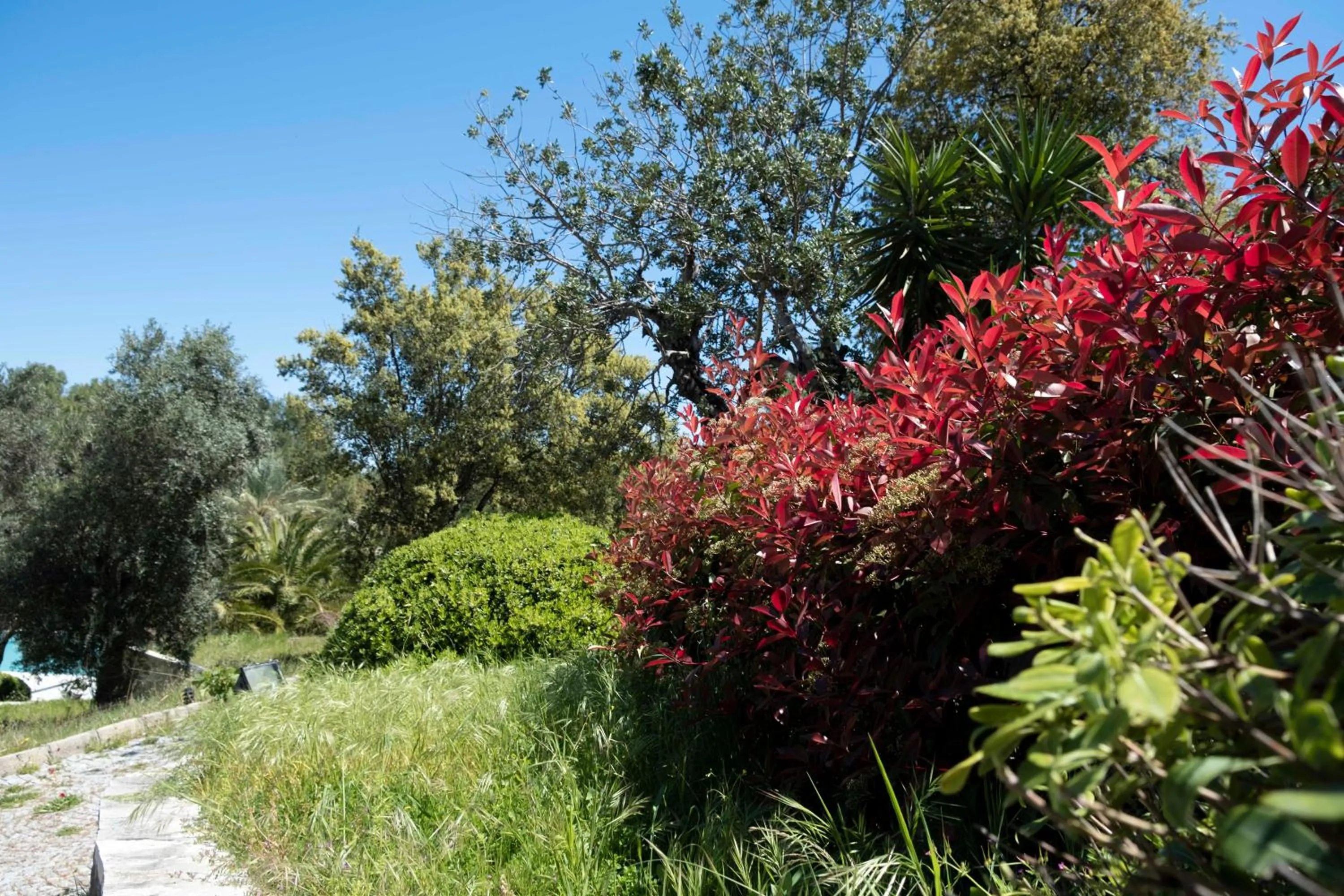 Natural landscape in X Life Hotel Sarıgerme 15 - Adult Hotel