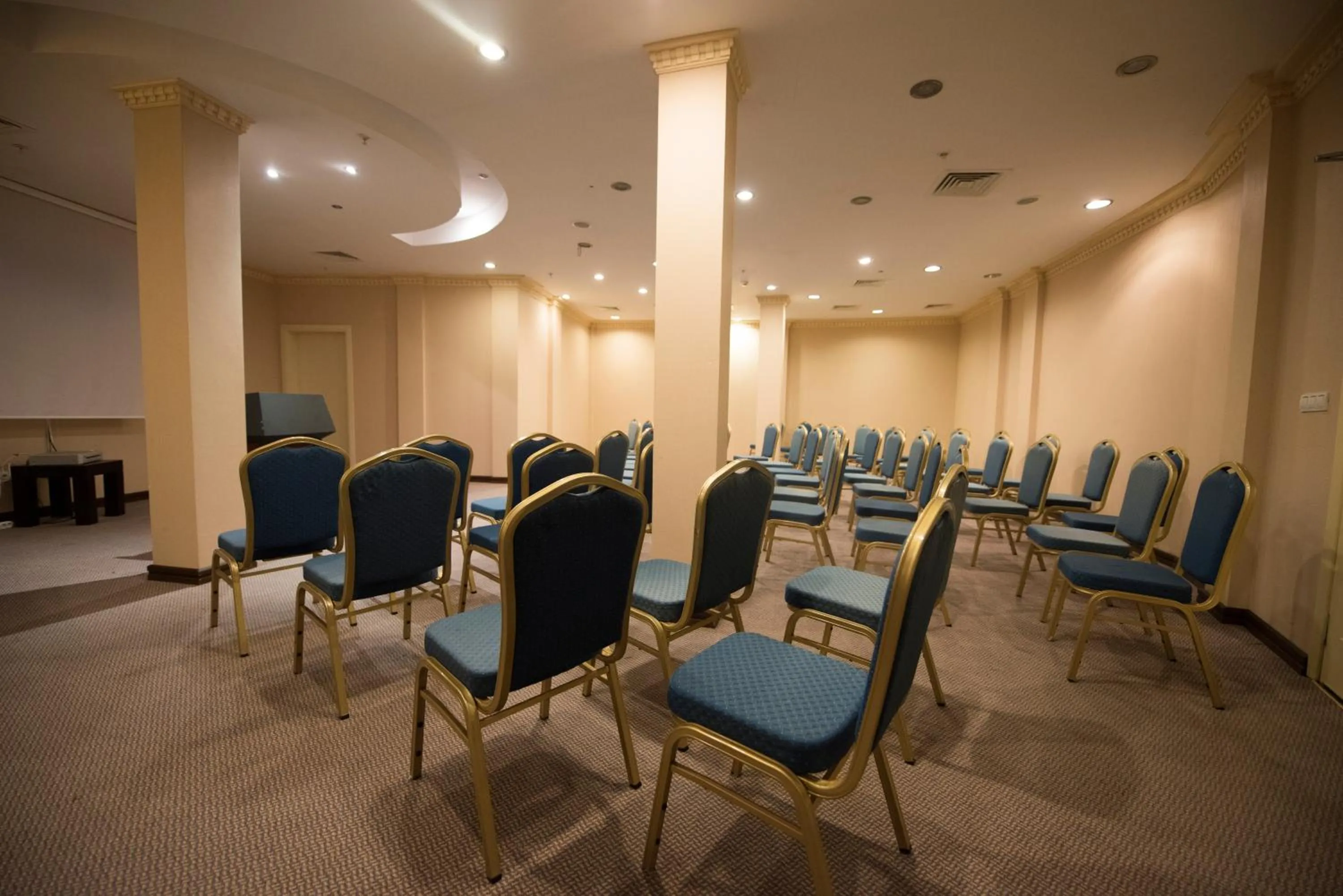 Meeting/conference room in X Life Hotel Sarıgerme 15 - Adult Hotel