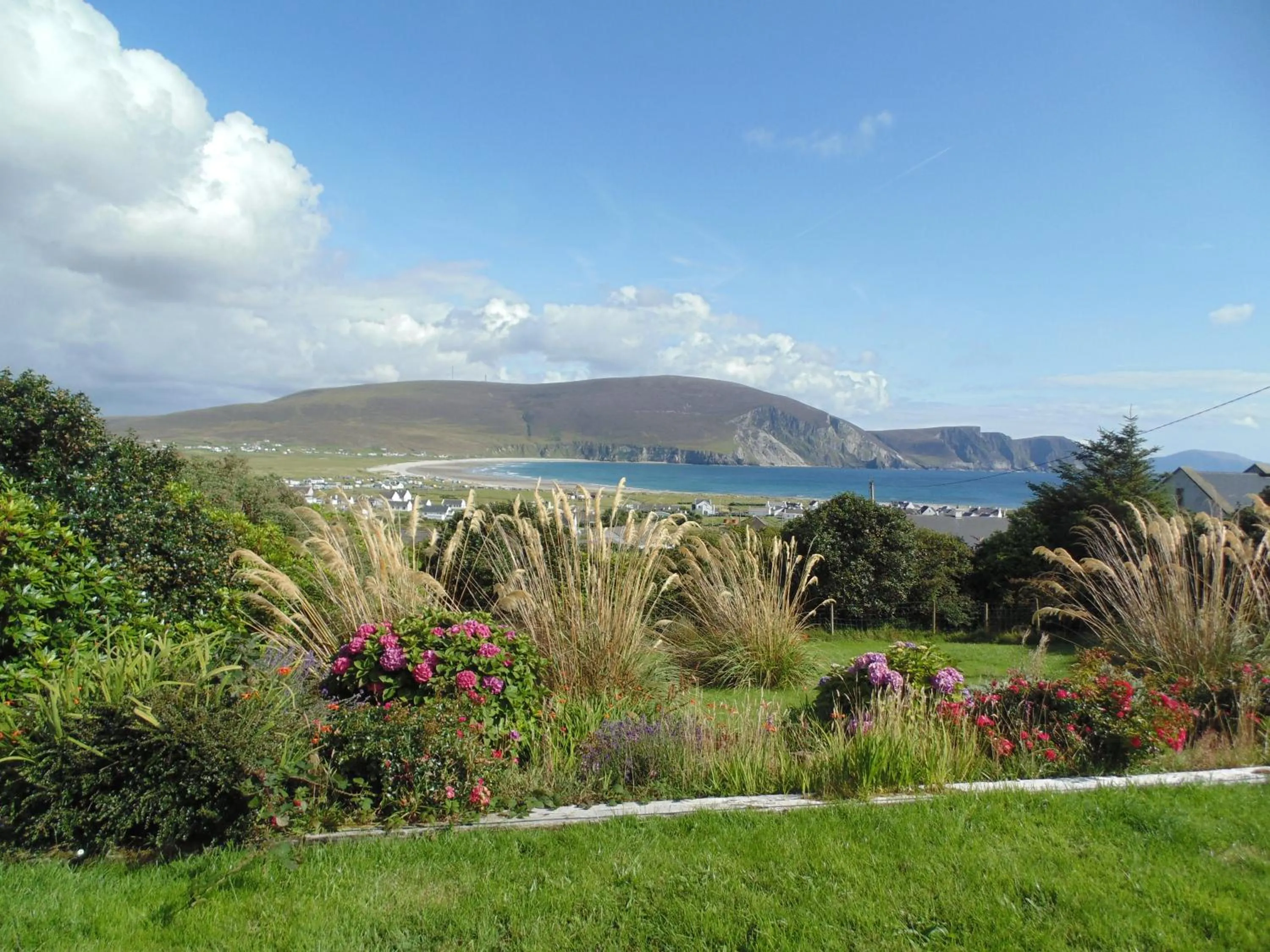 View (from property/room) in Ferndale Luxury Boutique Bed & Breakfast
