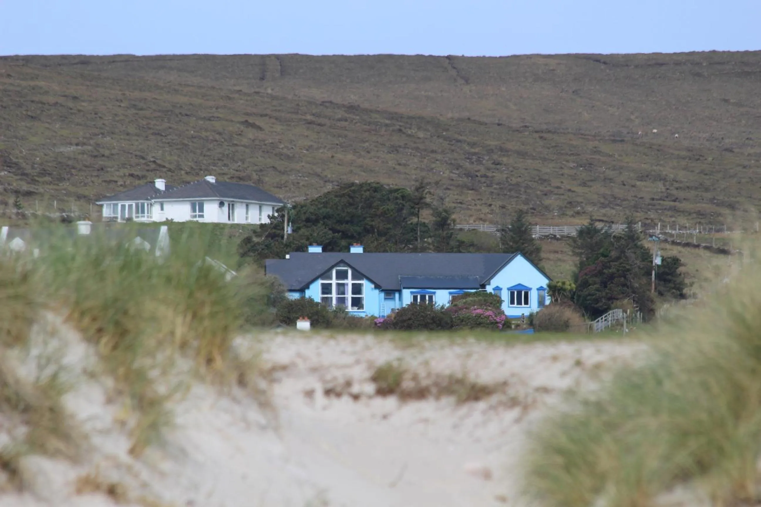 Property building in Ferndale Luxury Boutique Bed & Breakfast