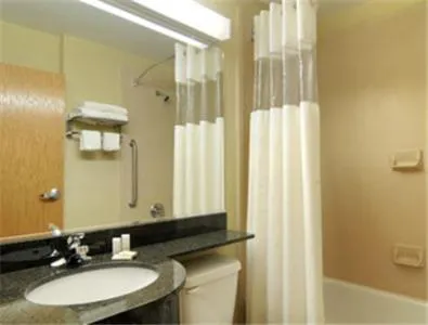 Shower in Microtel Inn & Suites by Wyndham Saraland