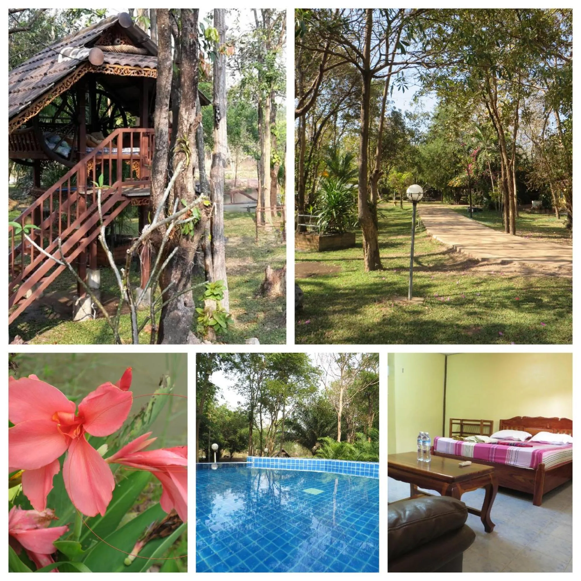 Garden in Isaan Perazim Park