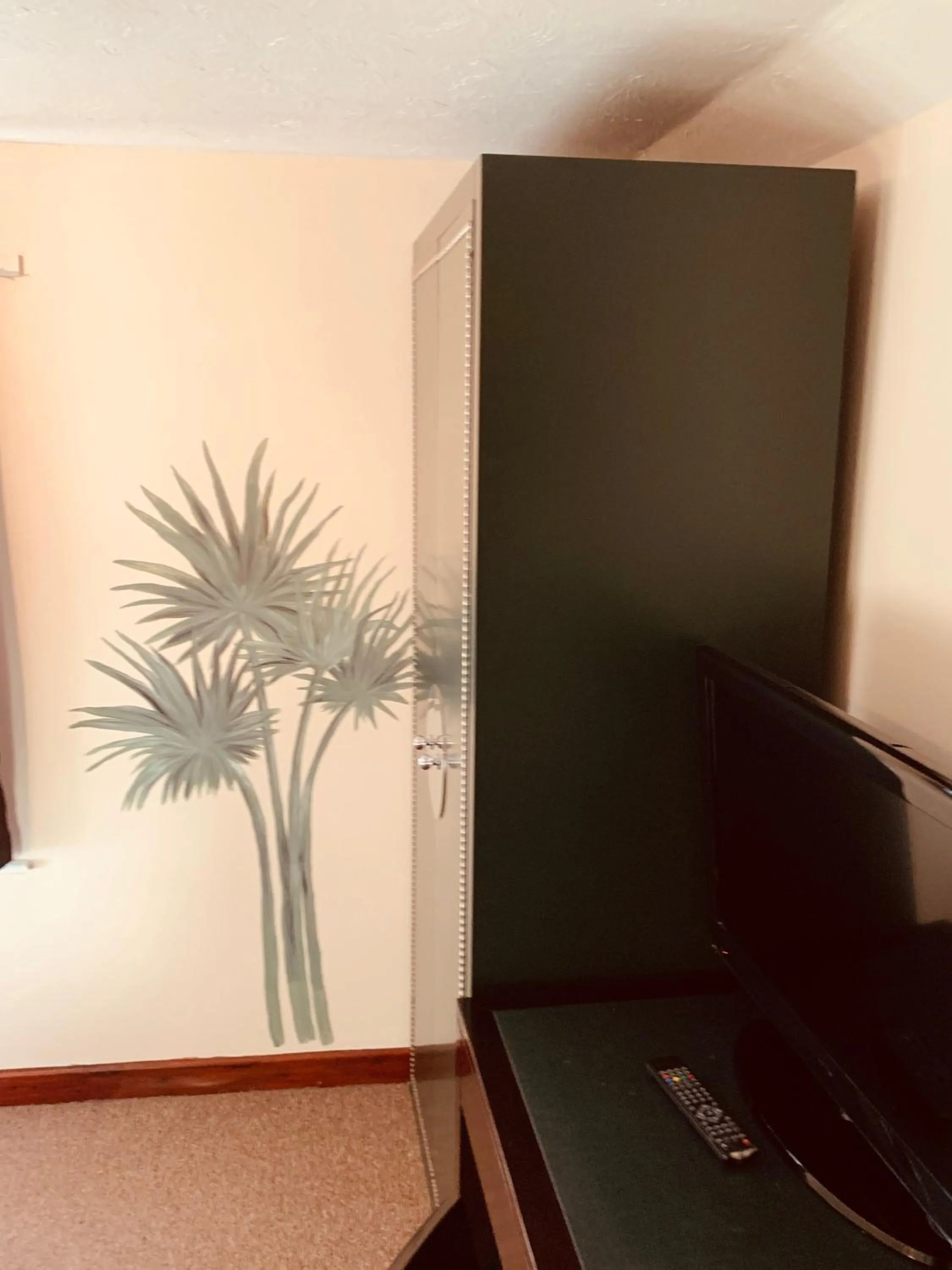 Communal lounge/ TV room in The Swan Hotel