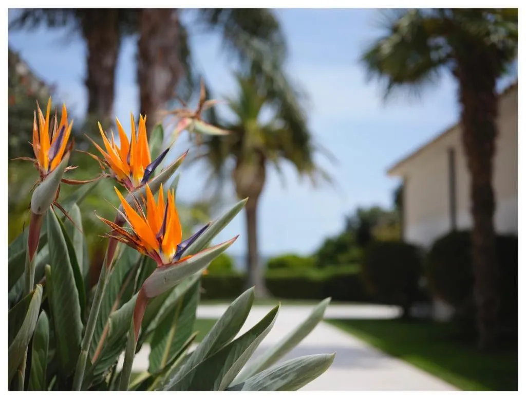 Hotel Villa San Bartolo