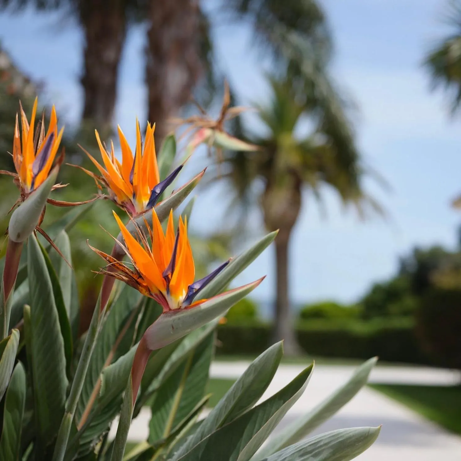 Hotel Villa San Bartolo