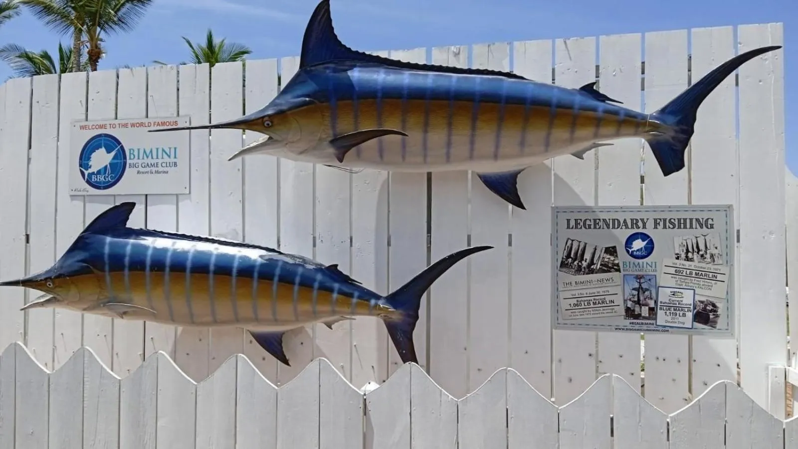 Property logo or sign in Bimini Big Game Club Resort & Marina