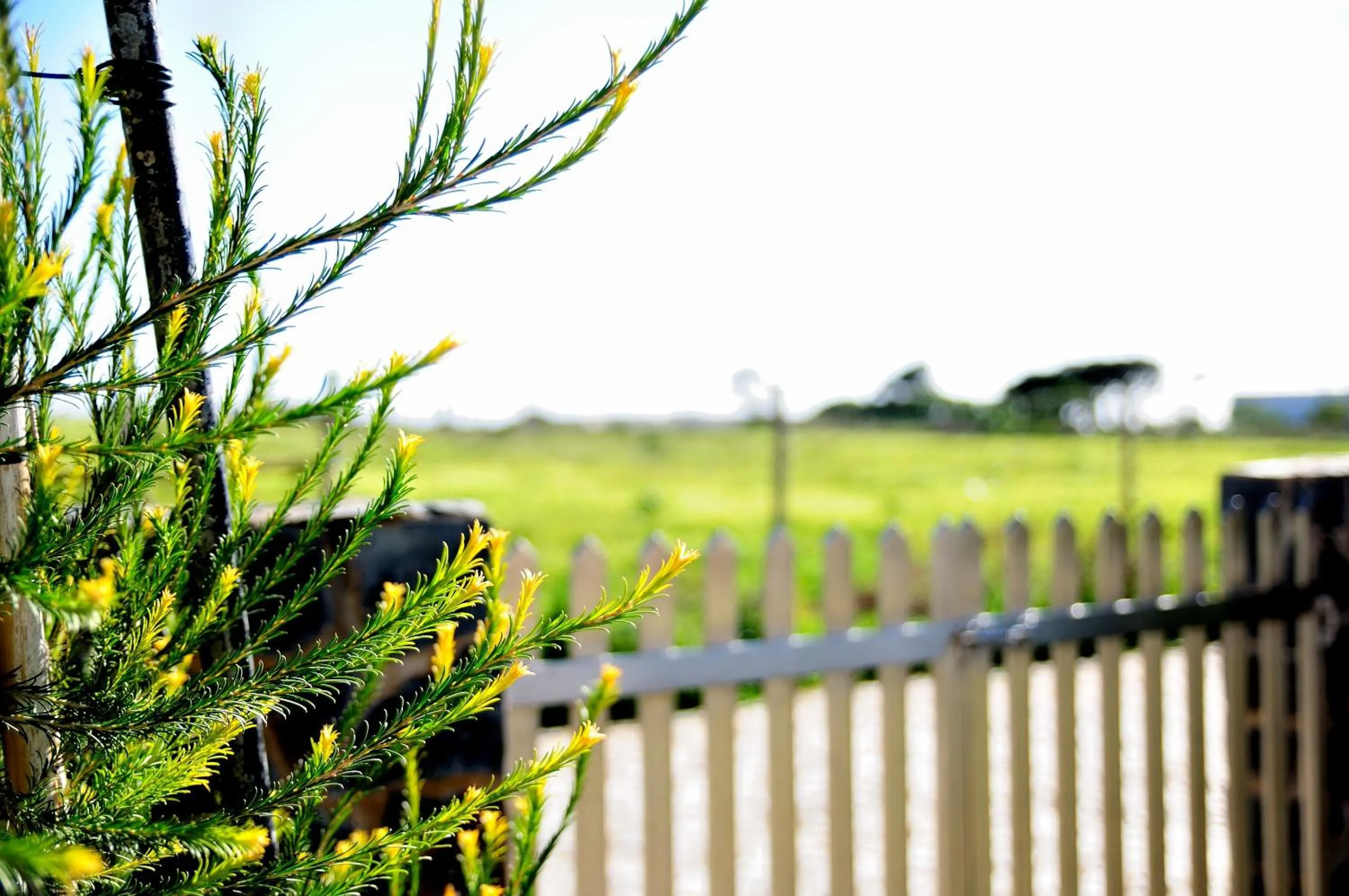 Facade/entrance in Tonel Apartamentos Turisticos