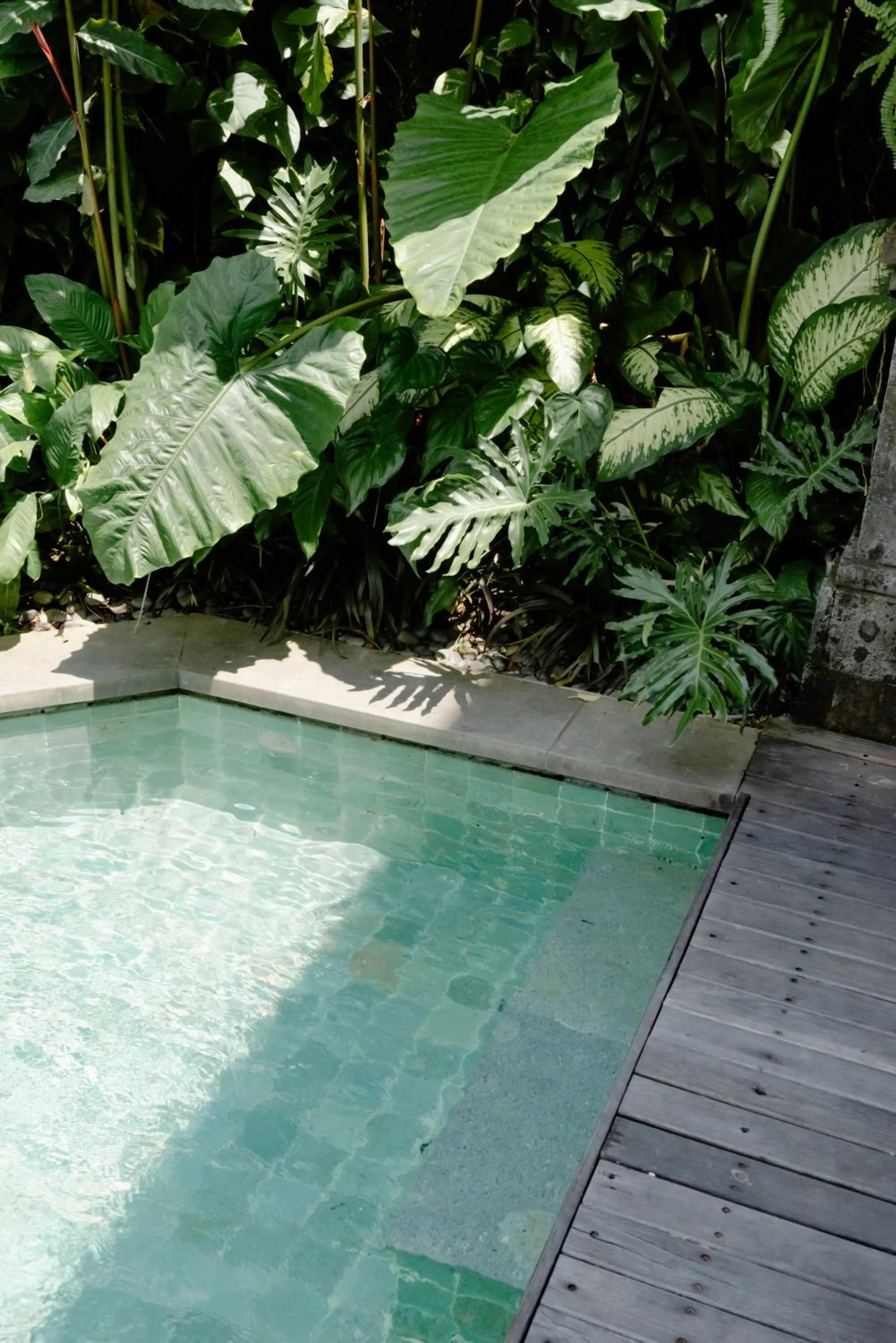 Day in ARTOTEL Haniman Ubud