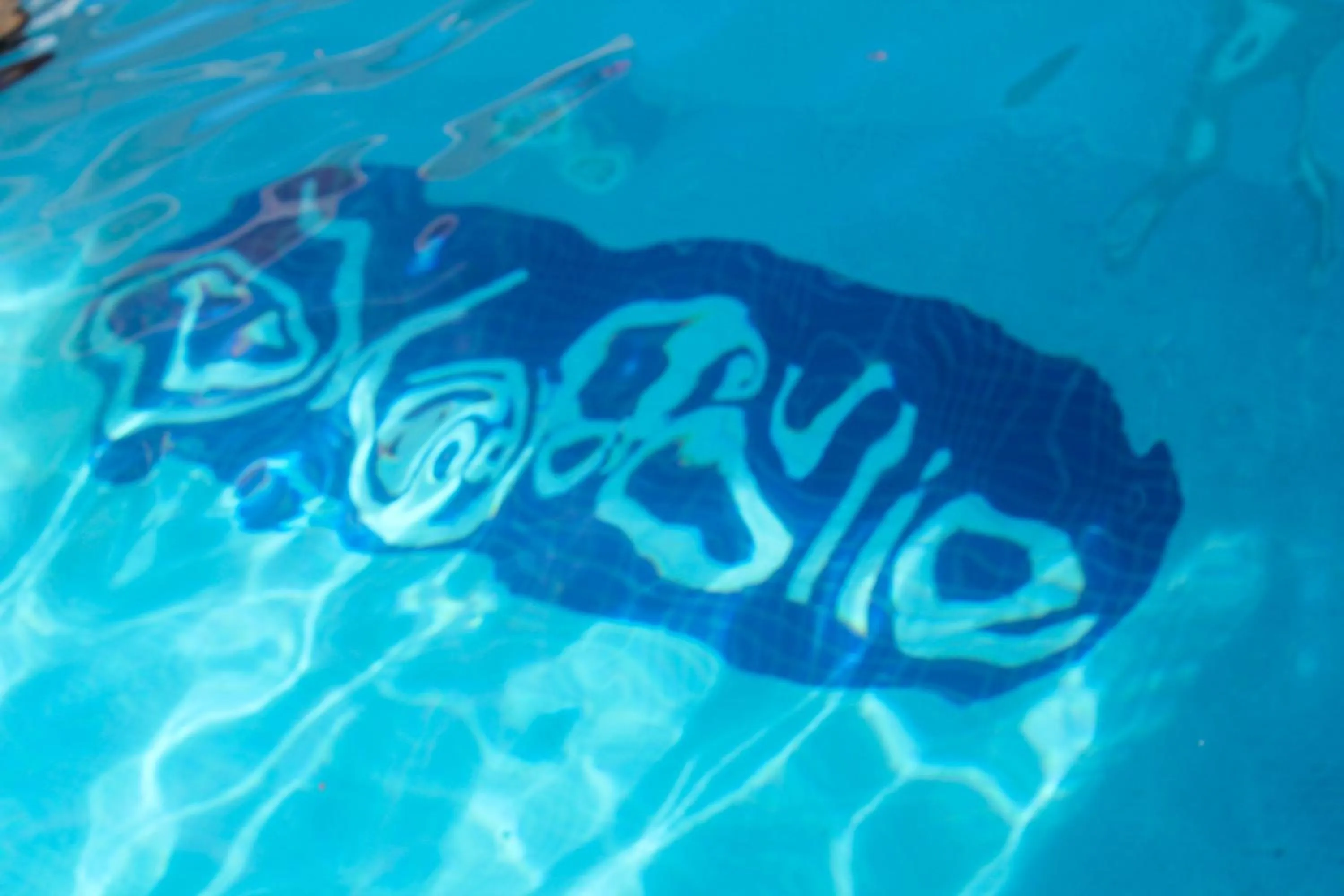 Pool view in The Mafolie Hotel