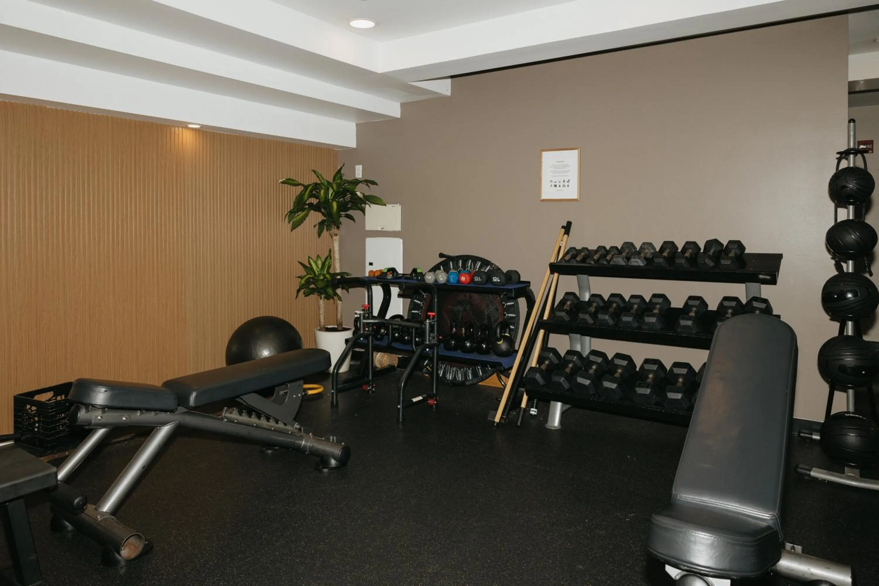 Fitness centre/facilities in CODA Williamsburg