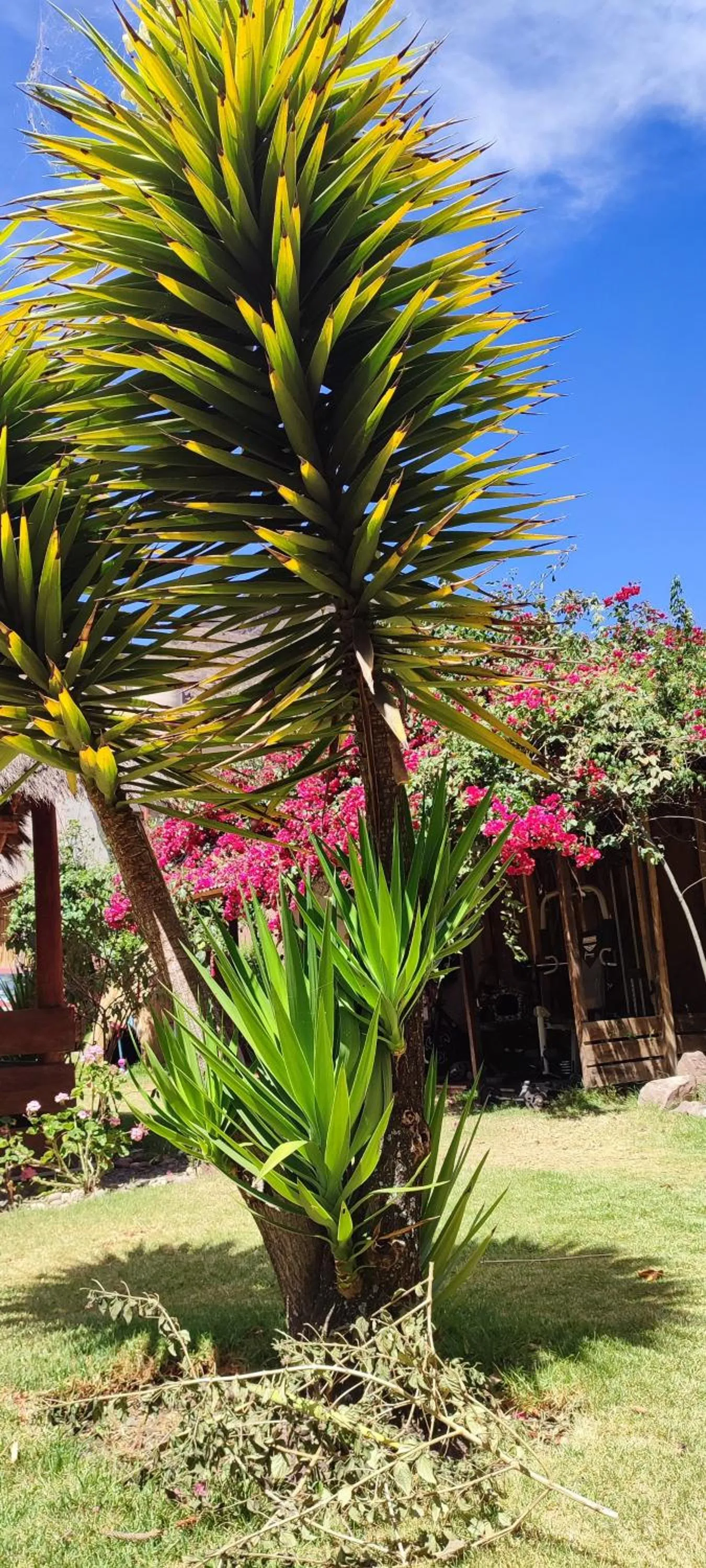 Property building in Hospedaje Chaska Pisac