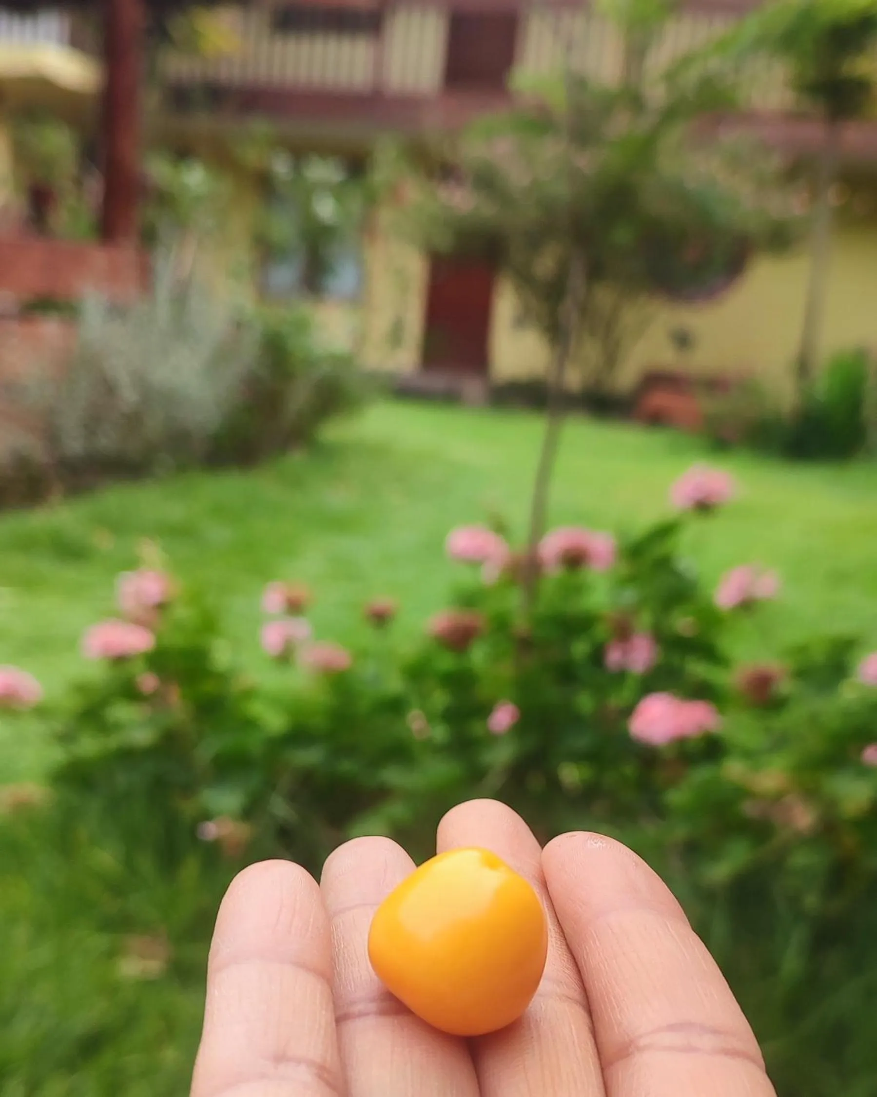 Hospedaje Chaska Pisac