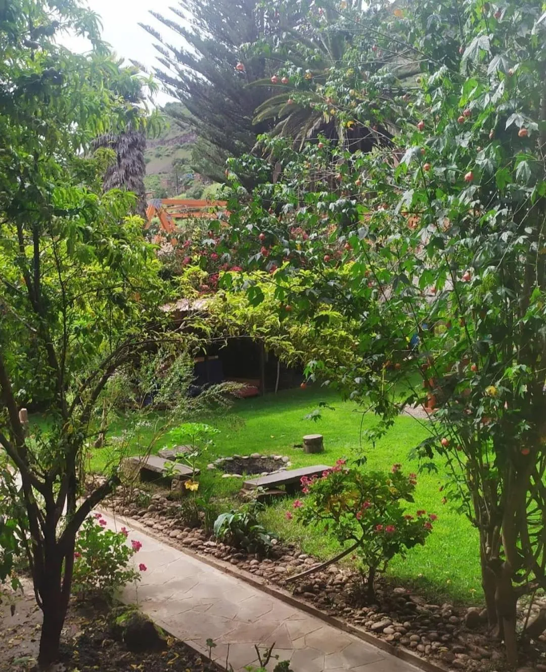Natural landscape in Hospedaje Chaska Pisac
