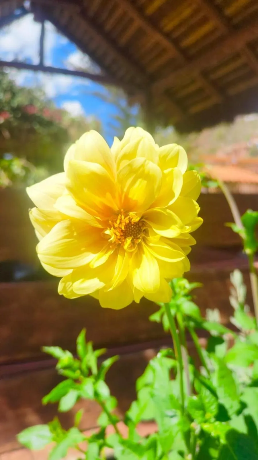 Hospedaje Chaska Pisac