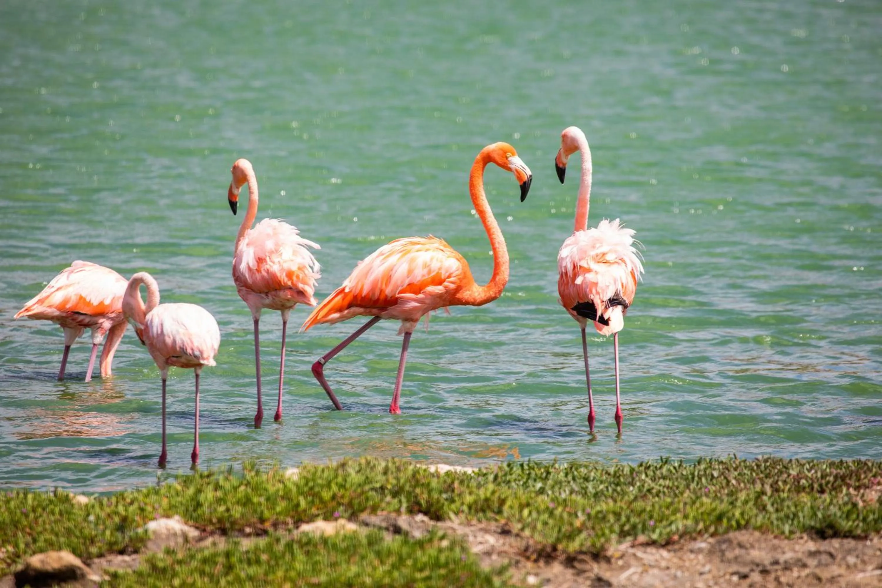 Natural landscape in Blue Bay Lodges
