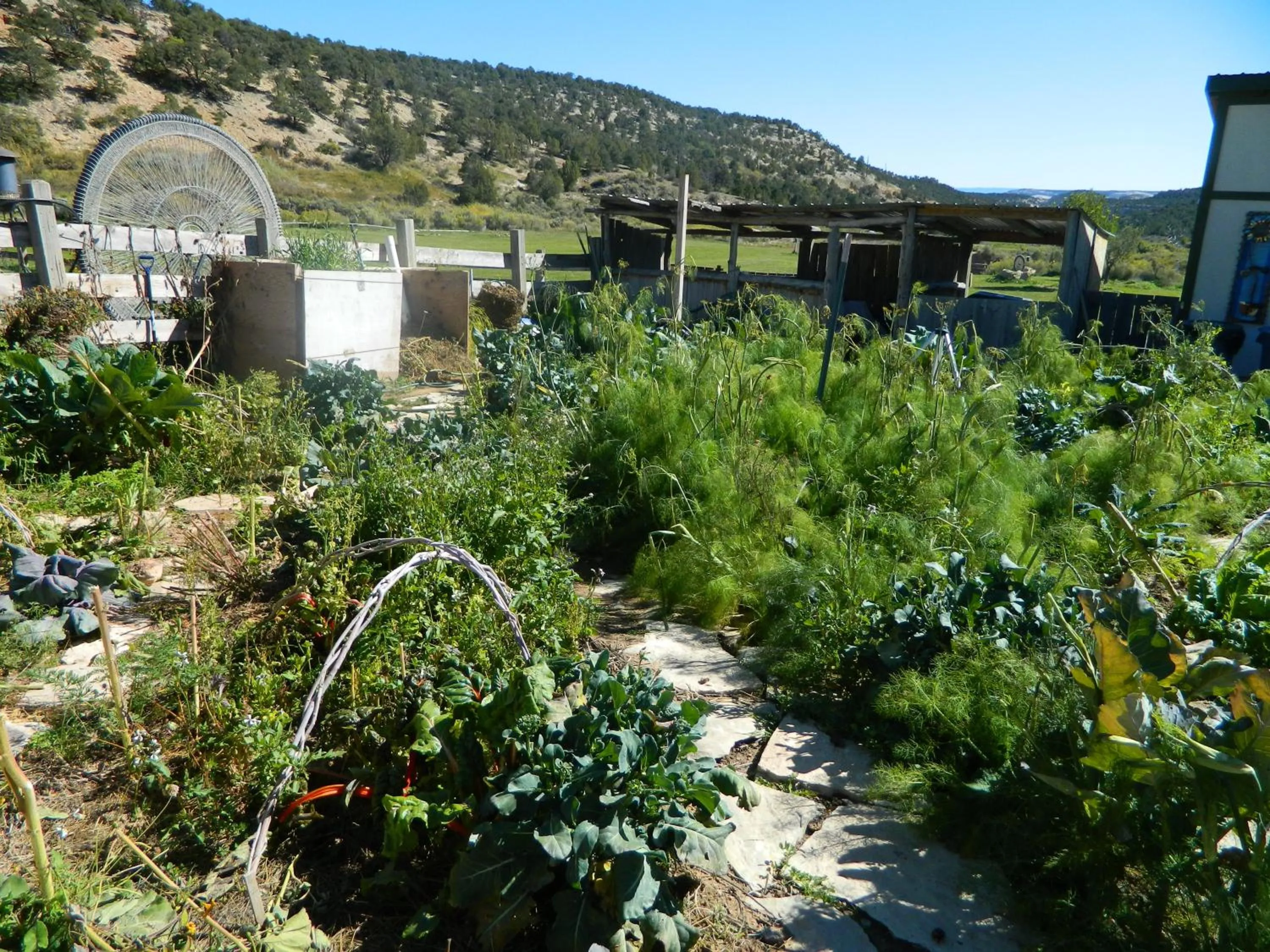 Garden in Boulder Mountain Guest Ranch