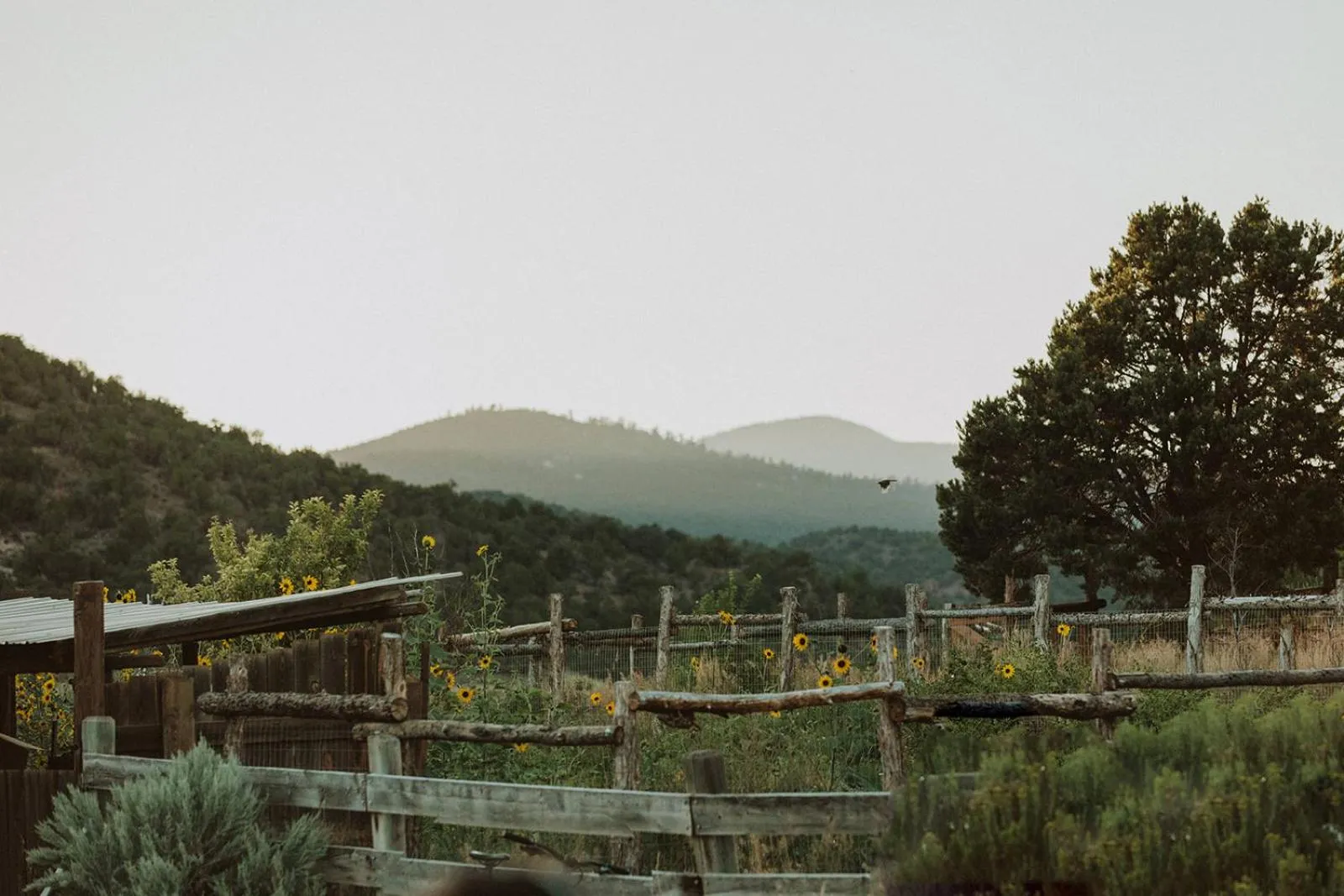 Boulder Mountain Guest Ranch