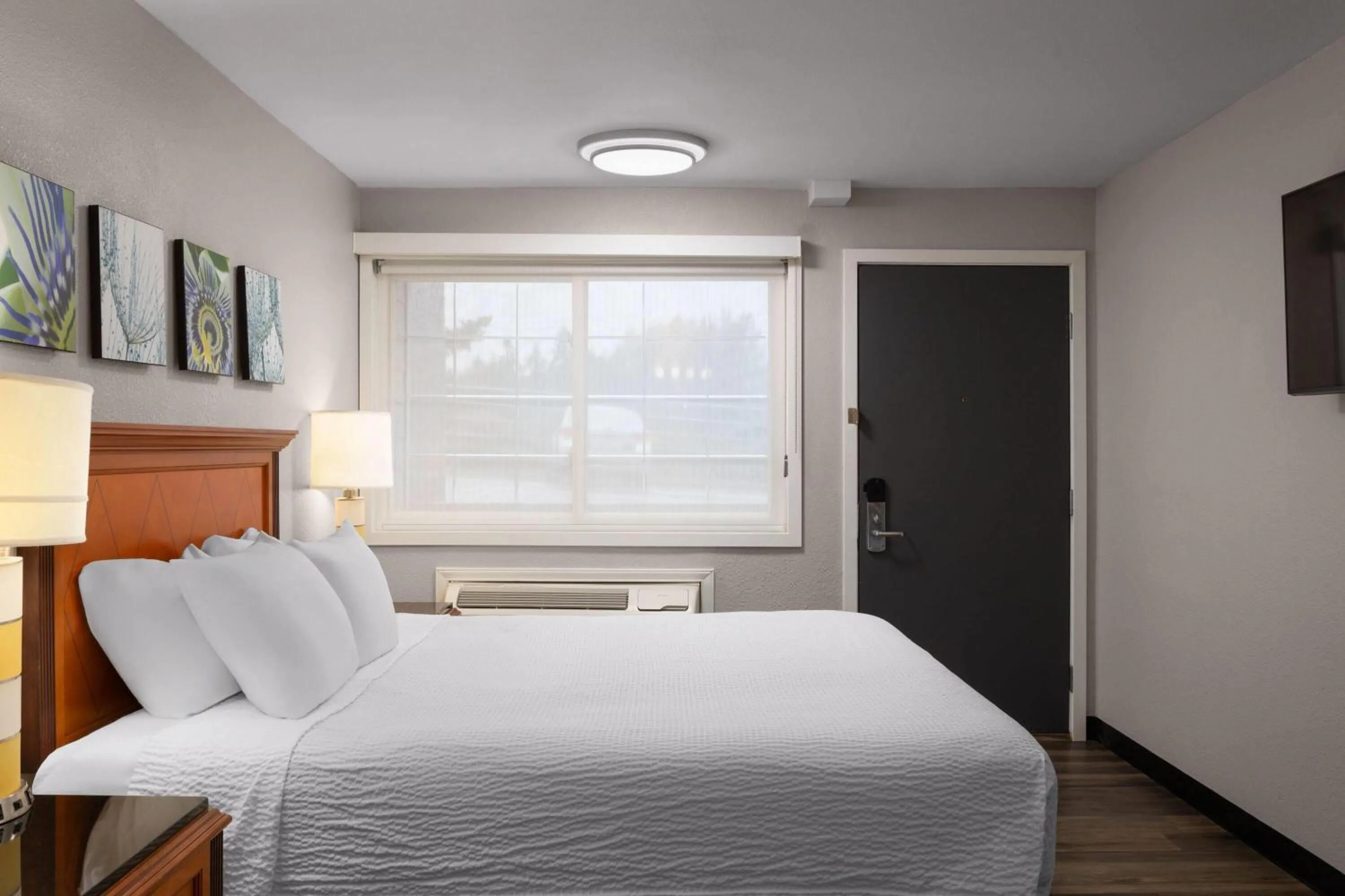 Photo of the whole room, Bed in Basecamp Puyallup a Travelodge by Wyndham