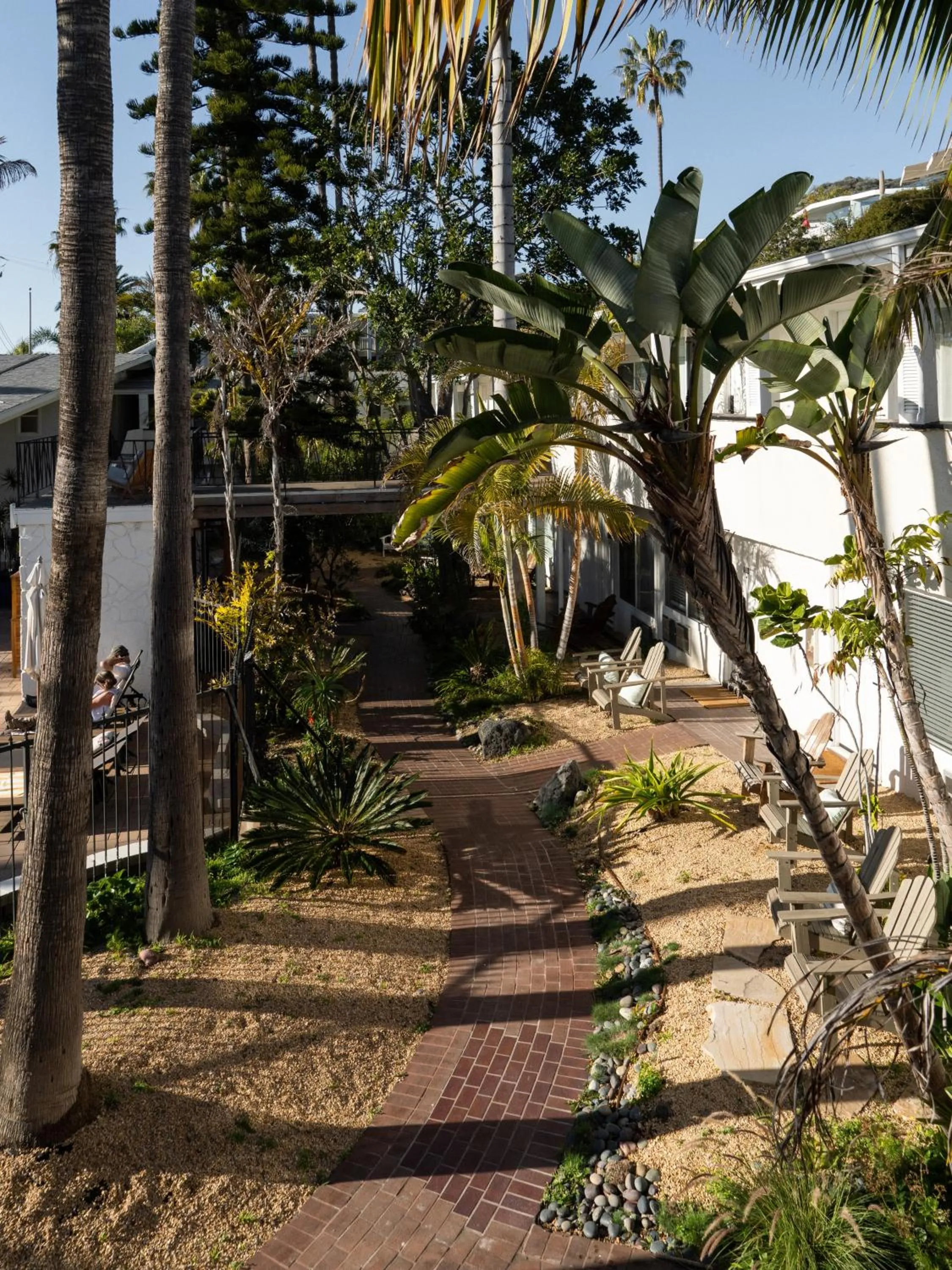 Garden in Laguna Beach Lodge