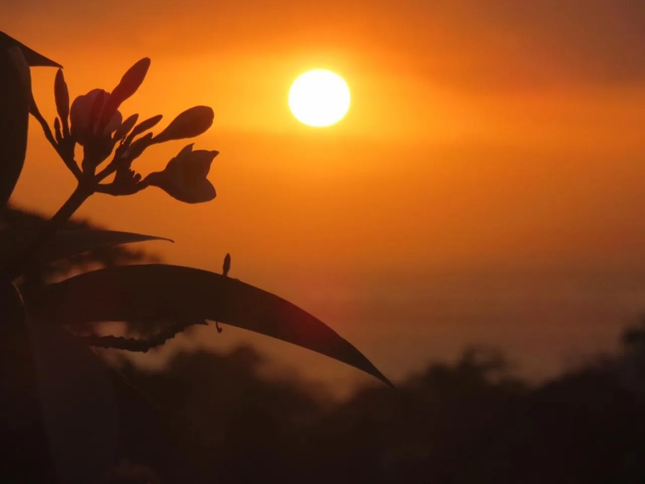 Property building in Pandana Boutique Hotel