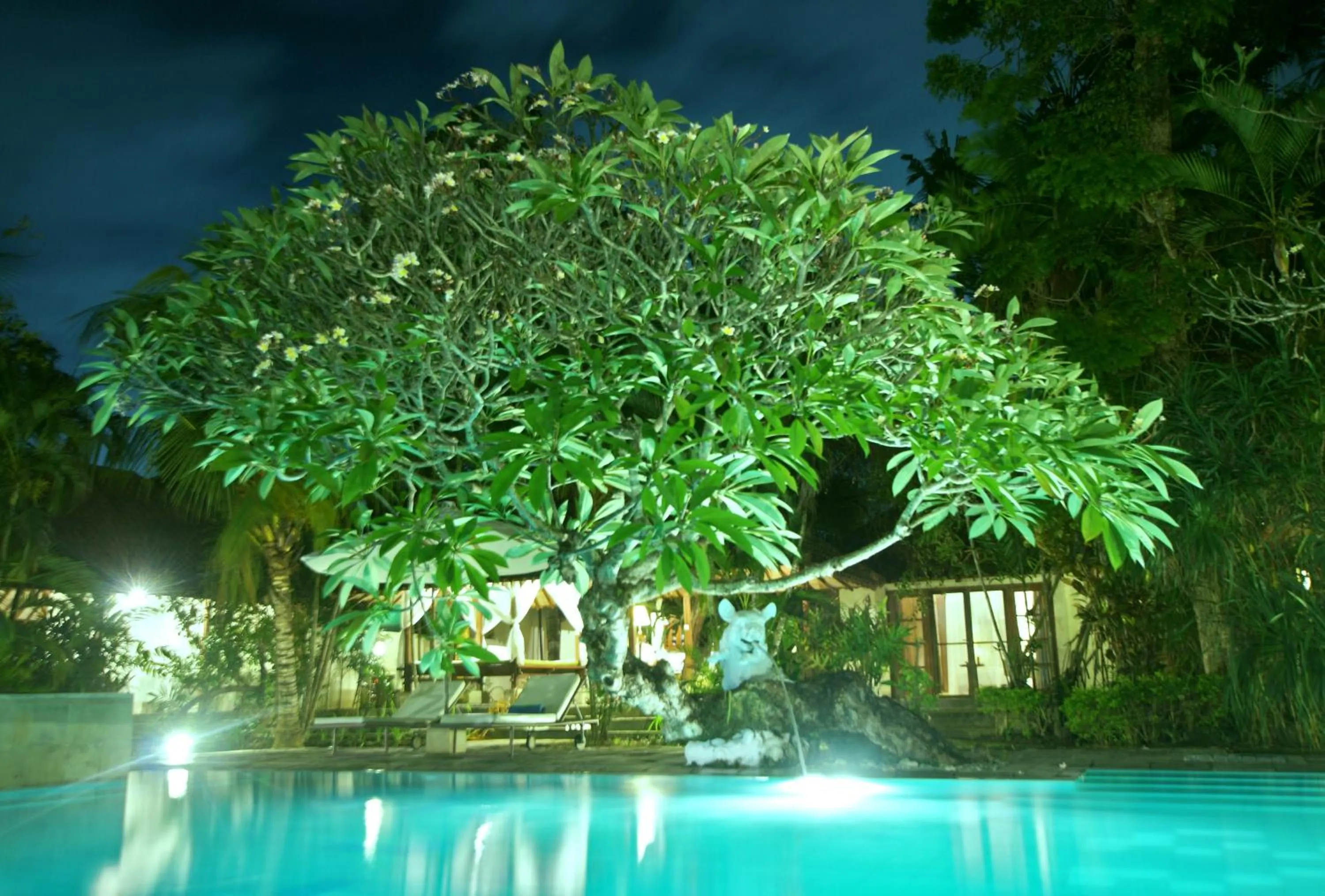 Swimming pool in Natah Bale Villas