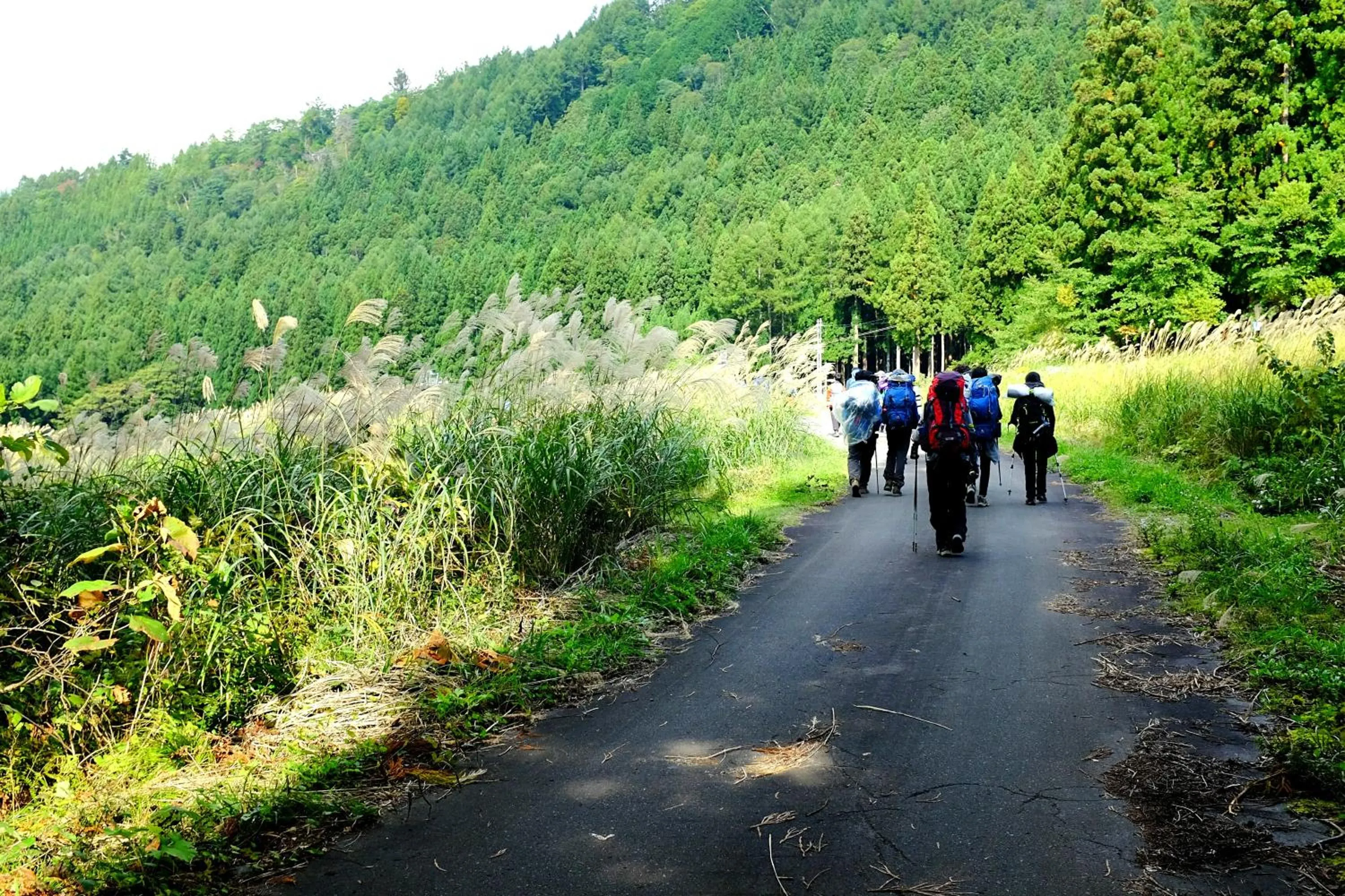 Summer in Kawamotoya