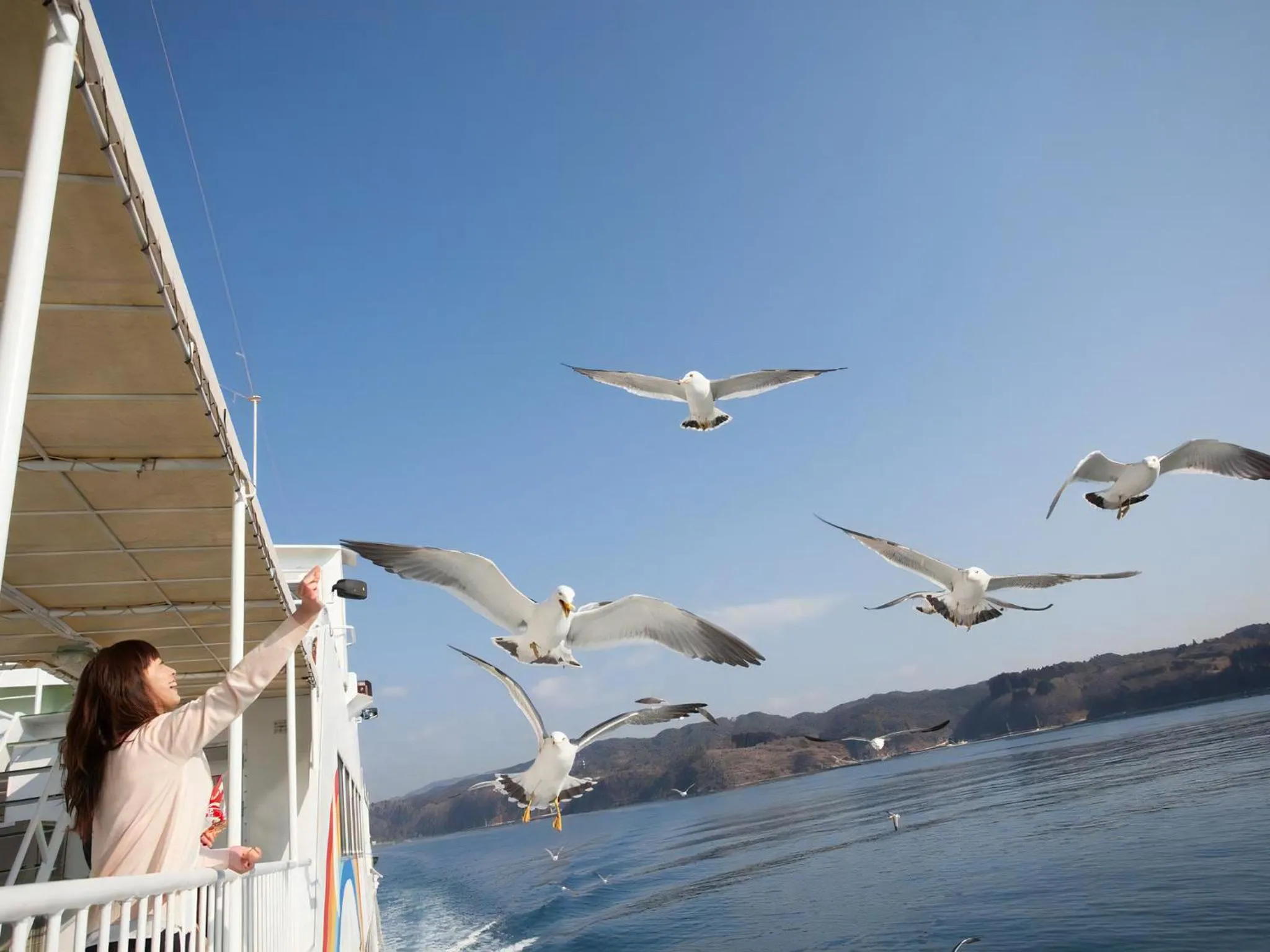 Nearby landmark in Hotel Pearl City Kesennuma
