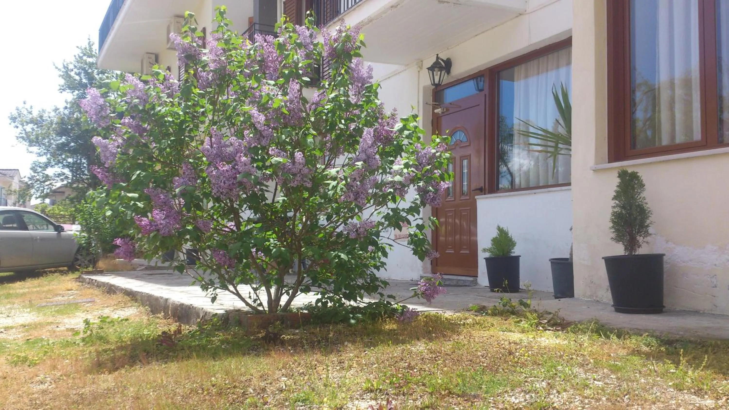 On site in Domus Inn