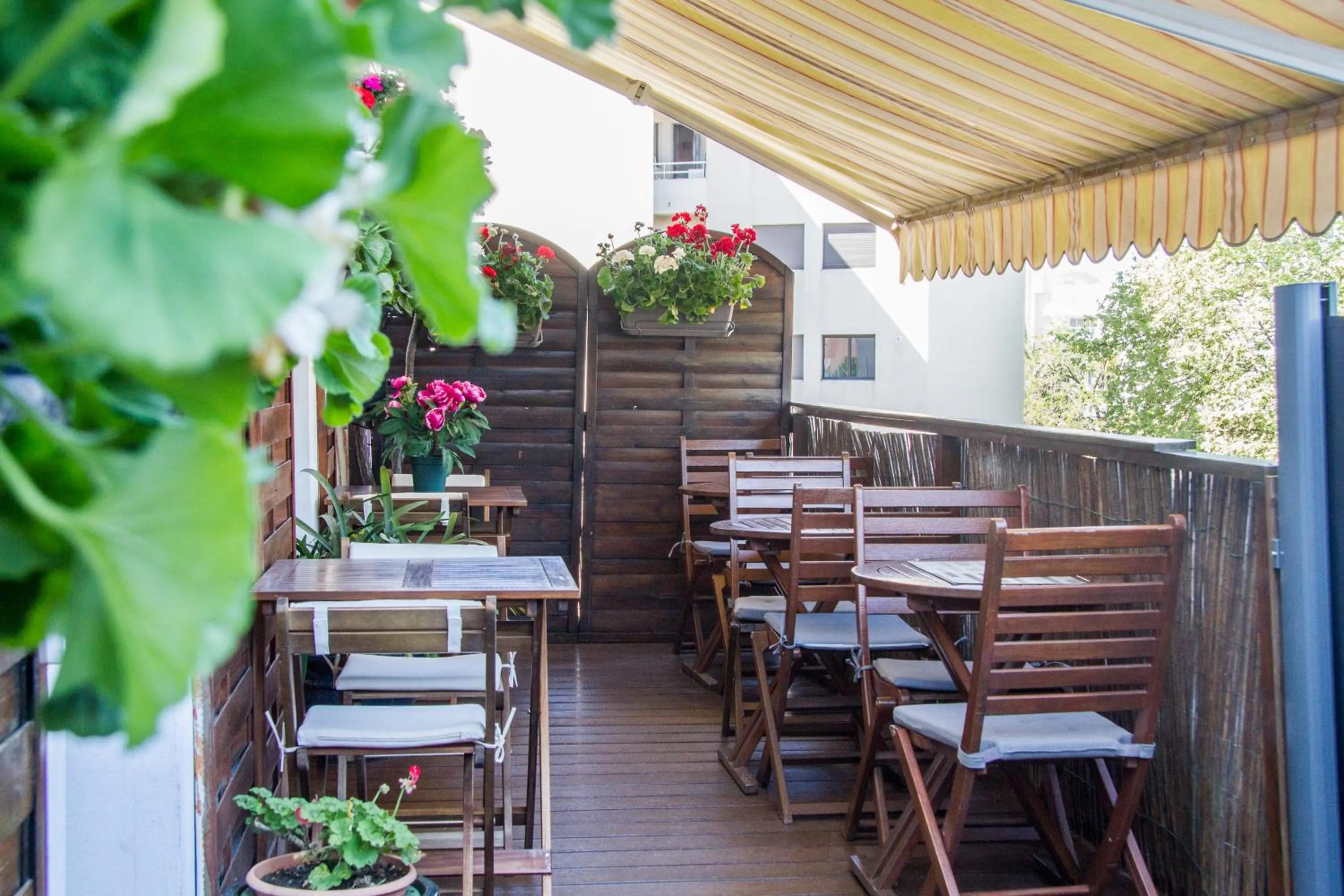 Patio in Hôtel Trianon