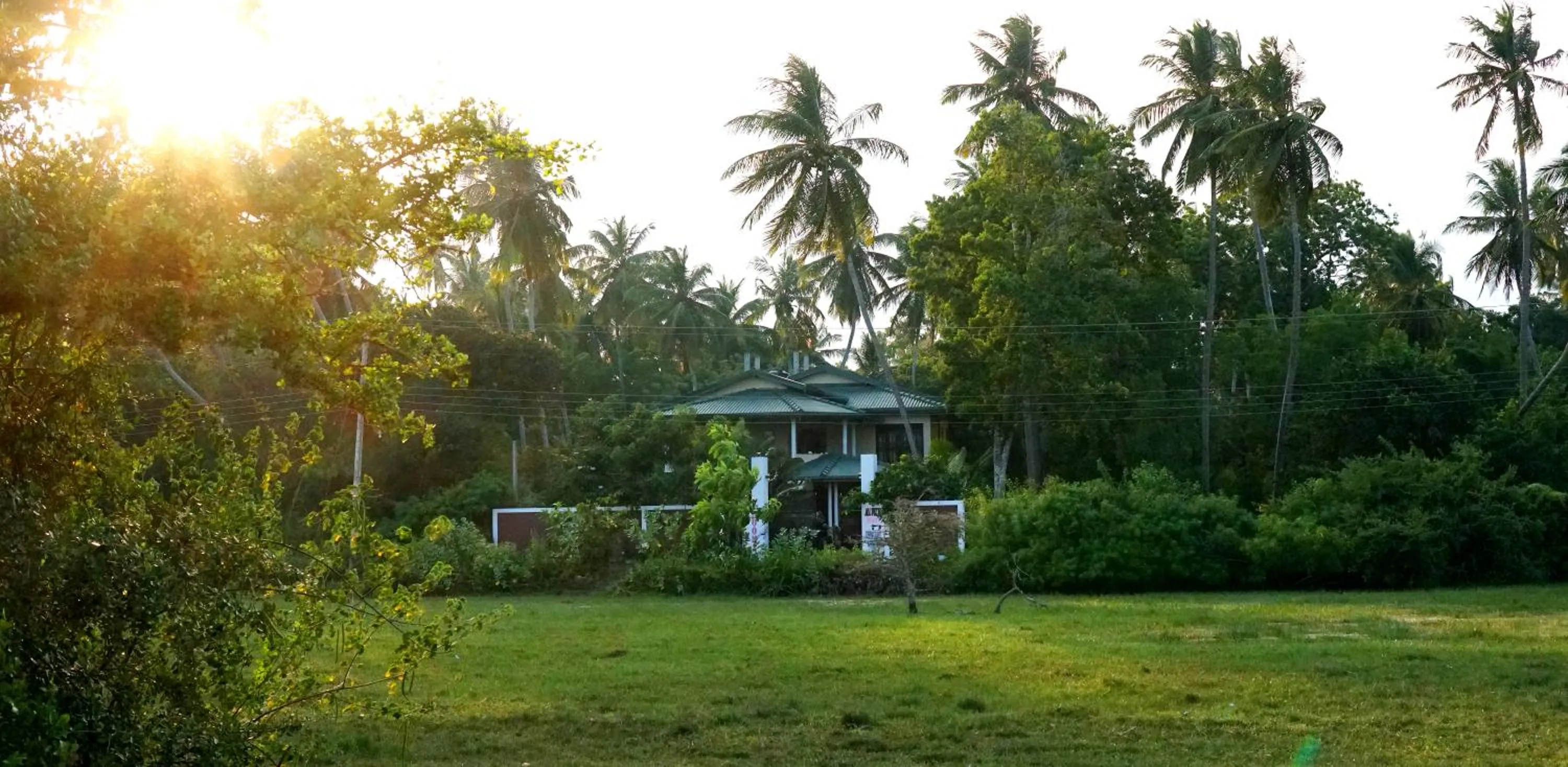 View (from property/room) in All View Resort