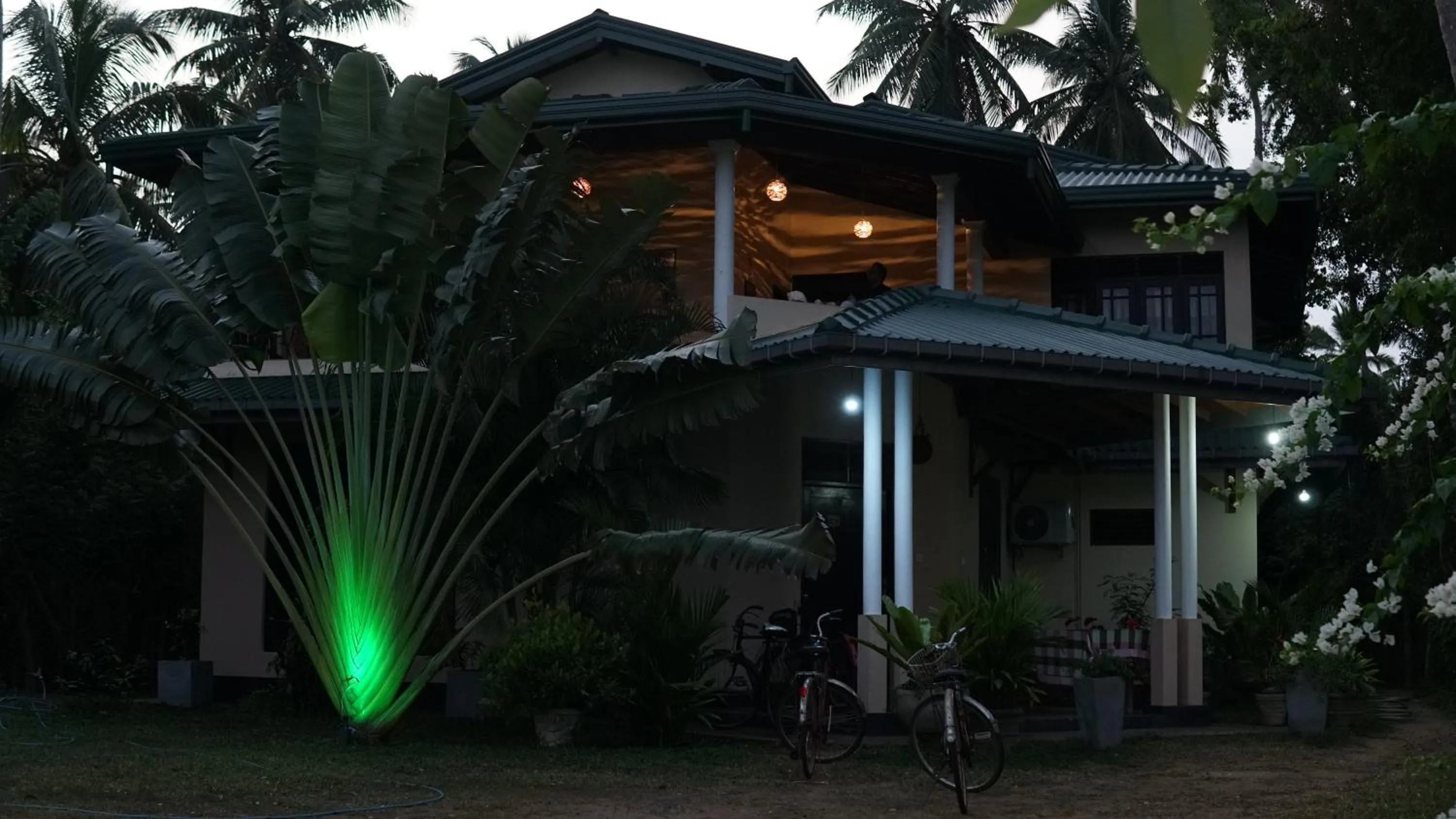 View (from property/room) in All View Resort