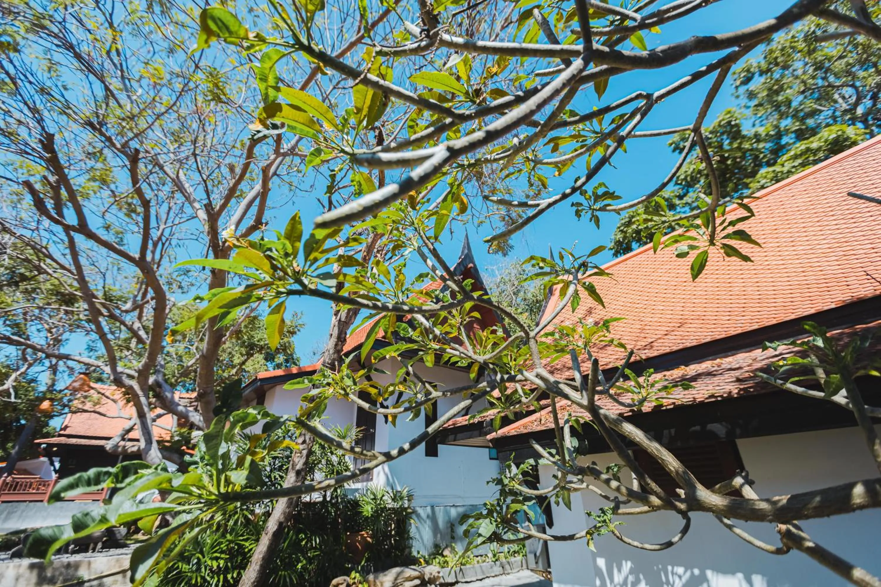 View (from property/room) in Vimarn Samed Resort