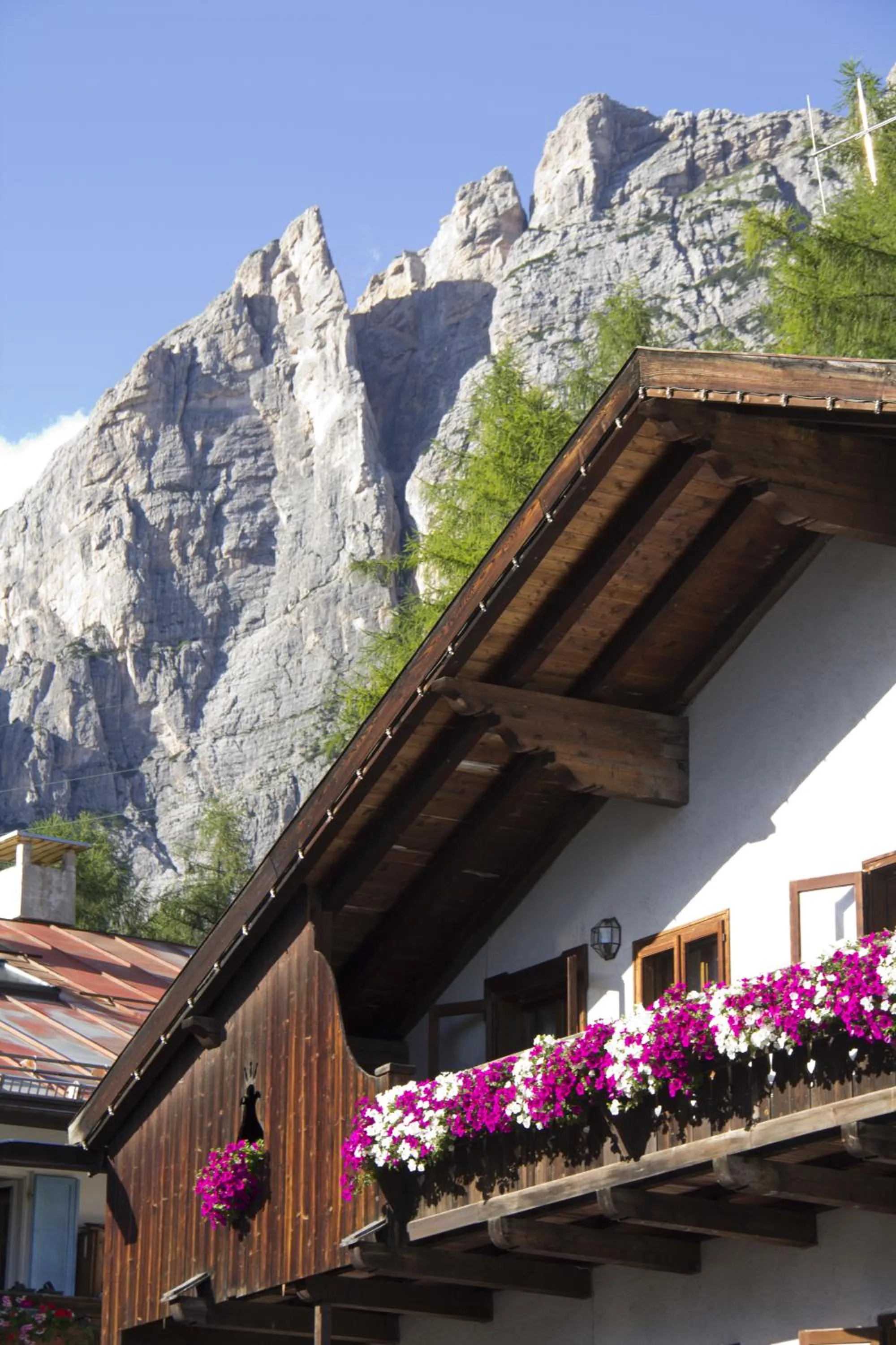 Balcony/Terrace in Hotel Al Larin