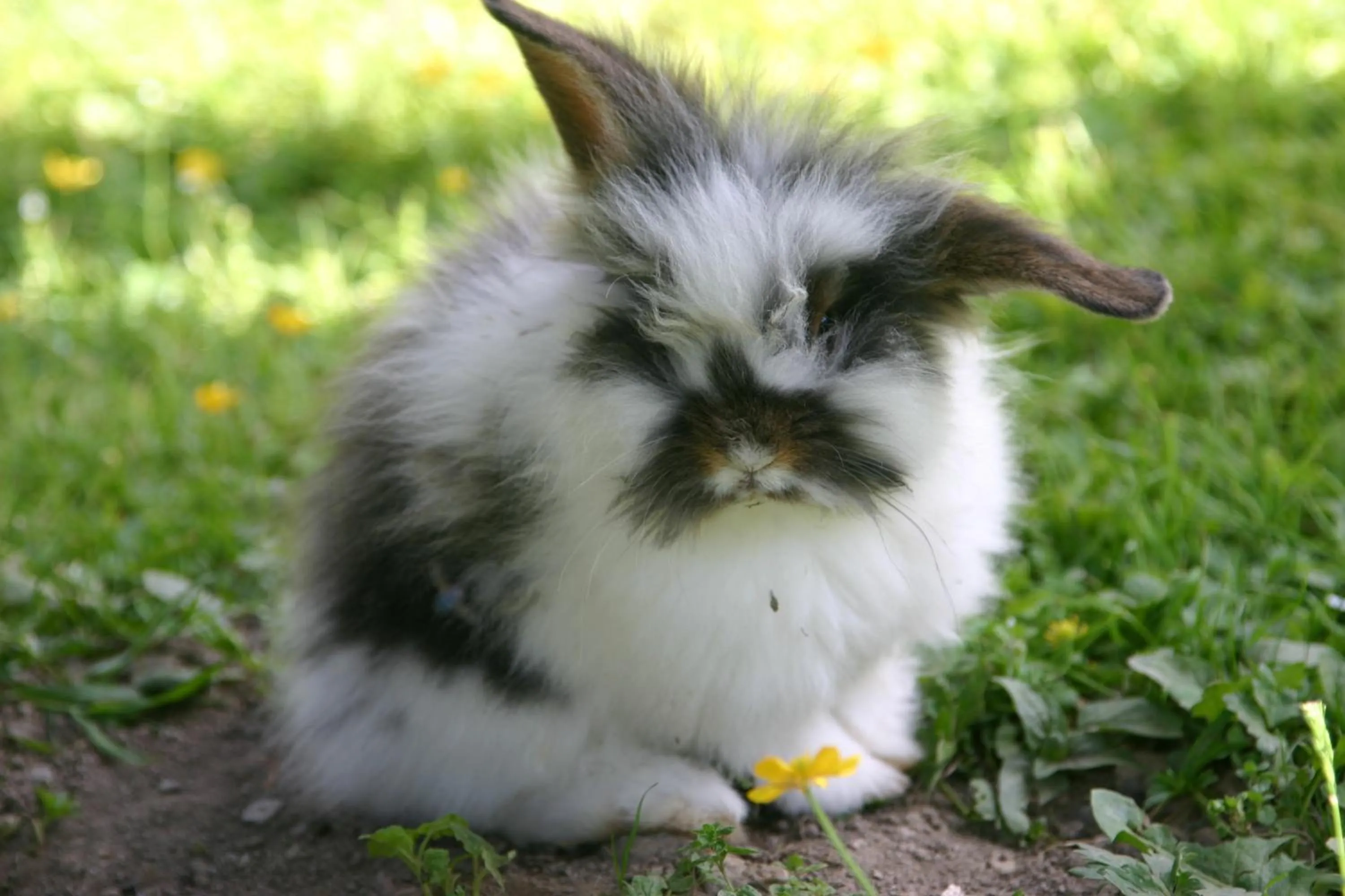 Other in Hotel Ennskraxblick